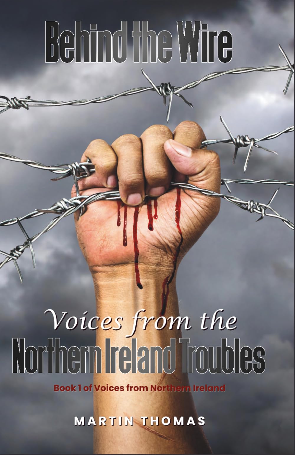 Behind the Wire: Voices From The Northern Ireland Troubles