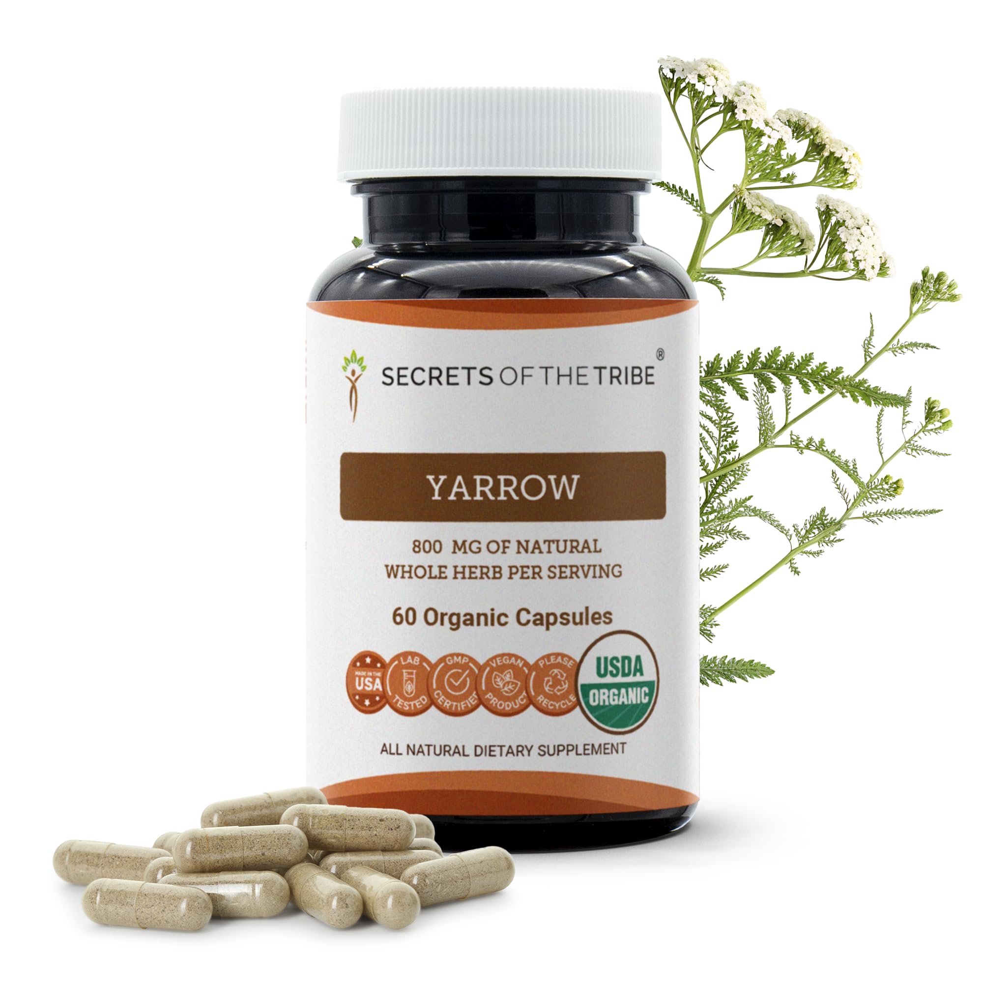 Secrets of the Tribe Suplemento de Mil-folhas Orgânico, 800 mg, folhas e flores secas de Achillea millefolium, 60 cápsulas