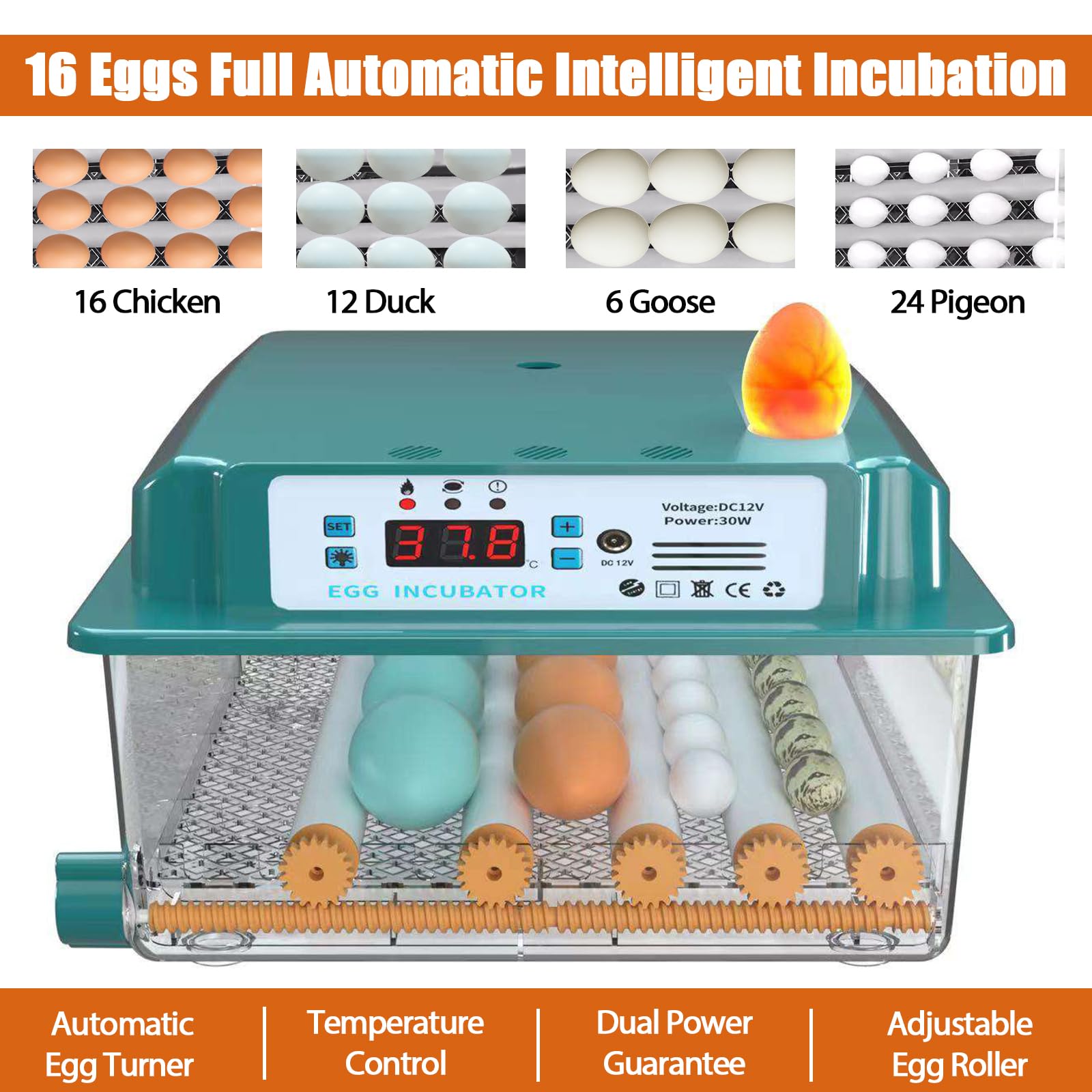 Incubatrice per Uova Automatica Incubatrice per 16 Uova Gallina Controllo Automatico della Temperatura Giratura Automatica delle Uova Design Elettrico Doppio (UK plug)