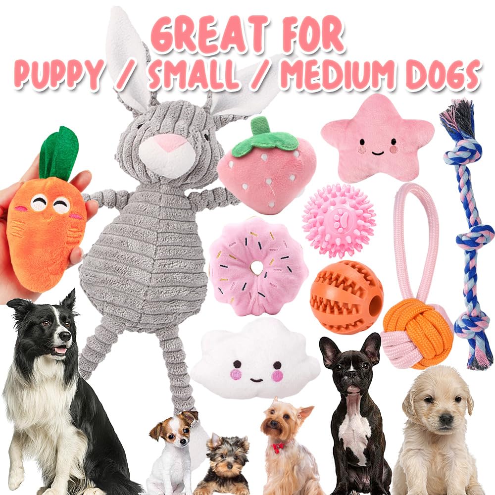 SMFUYT 10-teiliges Hundespielzeug für kleine Hunde, quietschendes Hundespielzeug-Set, Welpen-Beißspielzeug-Seil, unzerstörbares Hunde-Kauspielzeug gegen Langeweile, Hundespielzeug-Geschenk für kleine