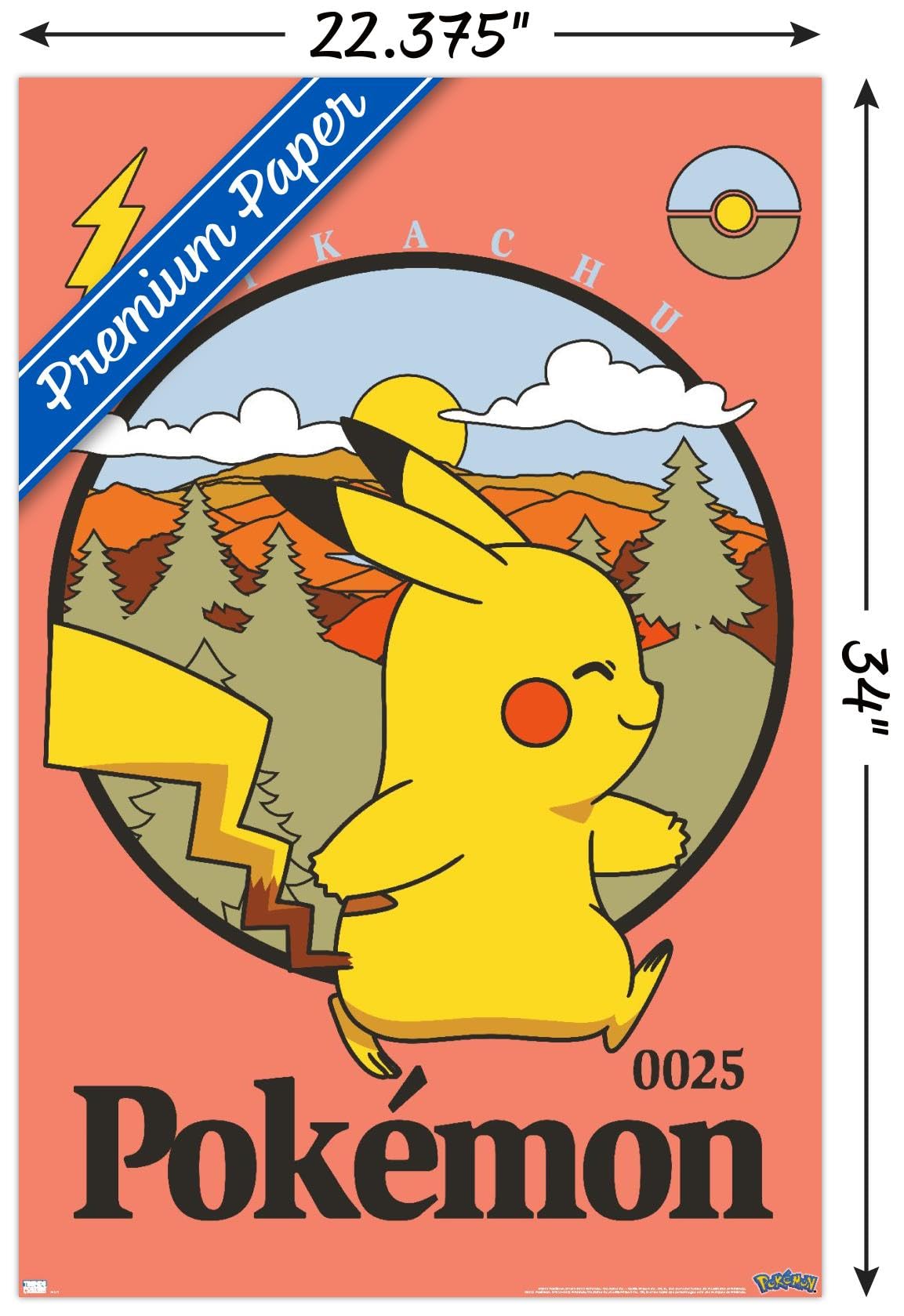 Amazon.co.jp: Trends International ポケモン - ピカチュウアウトドア