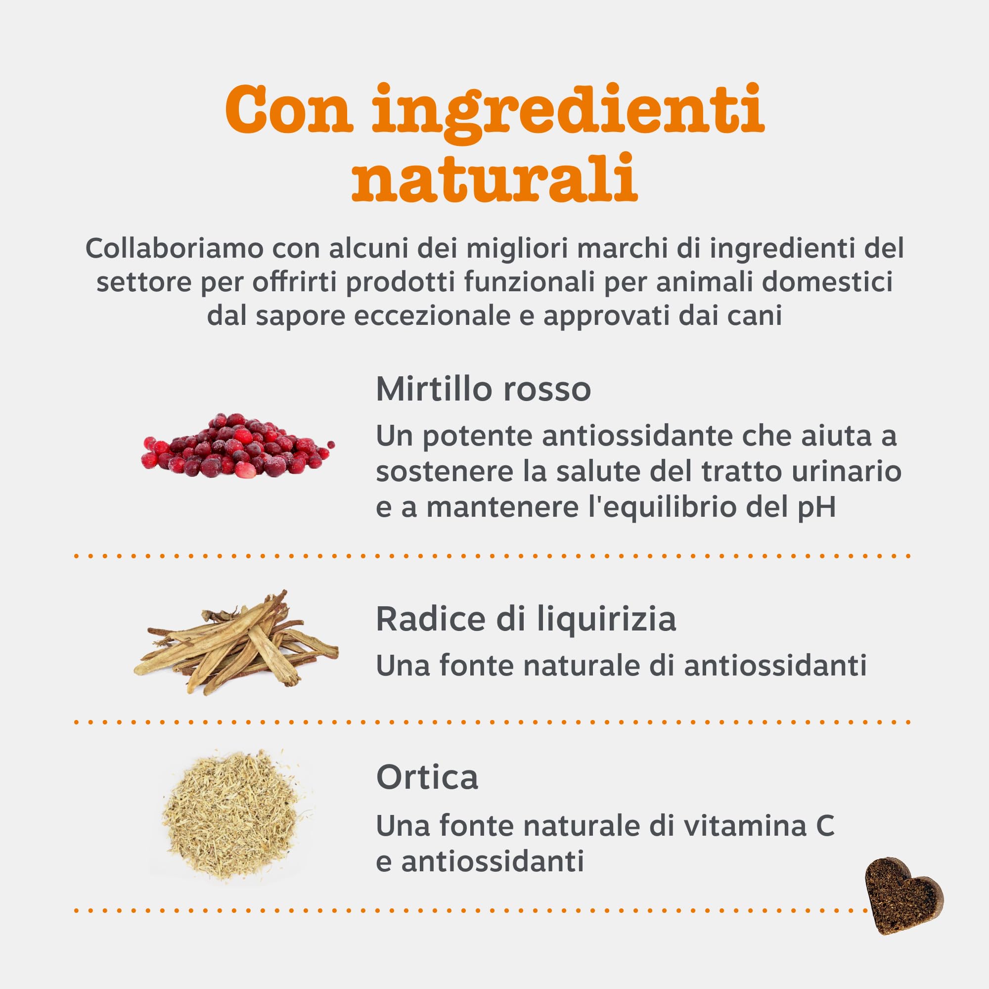 Zesty Paws Cranberry Urinary Care | Supporto delle Vie Urinarie | Integratori per Cani | D-mannosio, vitamina B6 e Exocyan | Alimento Complementare per Cani Adulti | Gusto Tacchino | 90 Pezzi