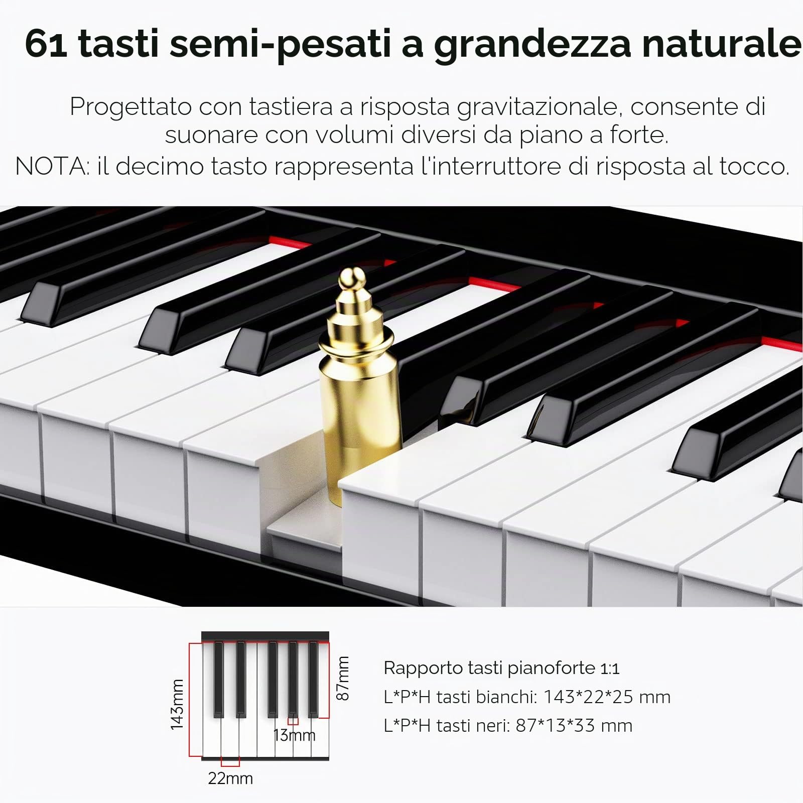 TERENCE Pianoforte Digitale Portatile 61 Tasti semi-pesati con Supporti e batteria da 1800 mAh Tastiera e interfaccia MIDI e supporto per spartiti Bluetooth Borsa adesiva Cavo audio Auricolari