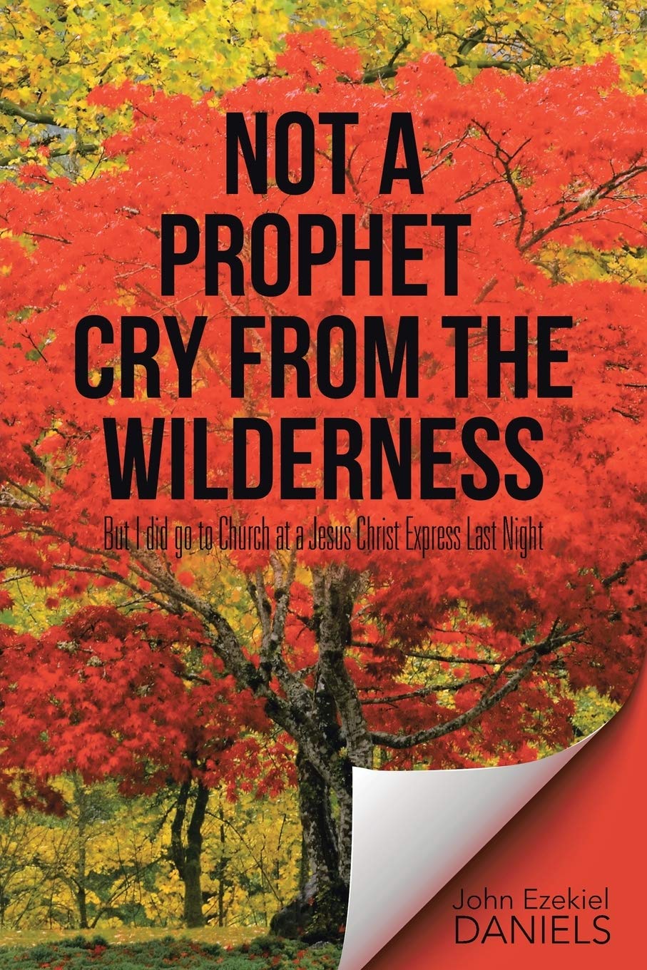 Not a Prophet Cry from the Wilderness: But I did go to Church at a Jesus Christ Express Last Night