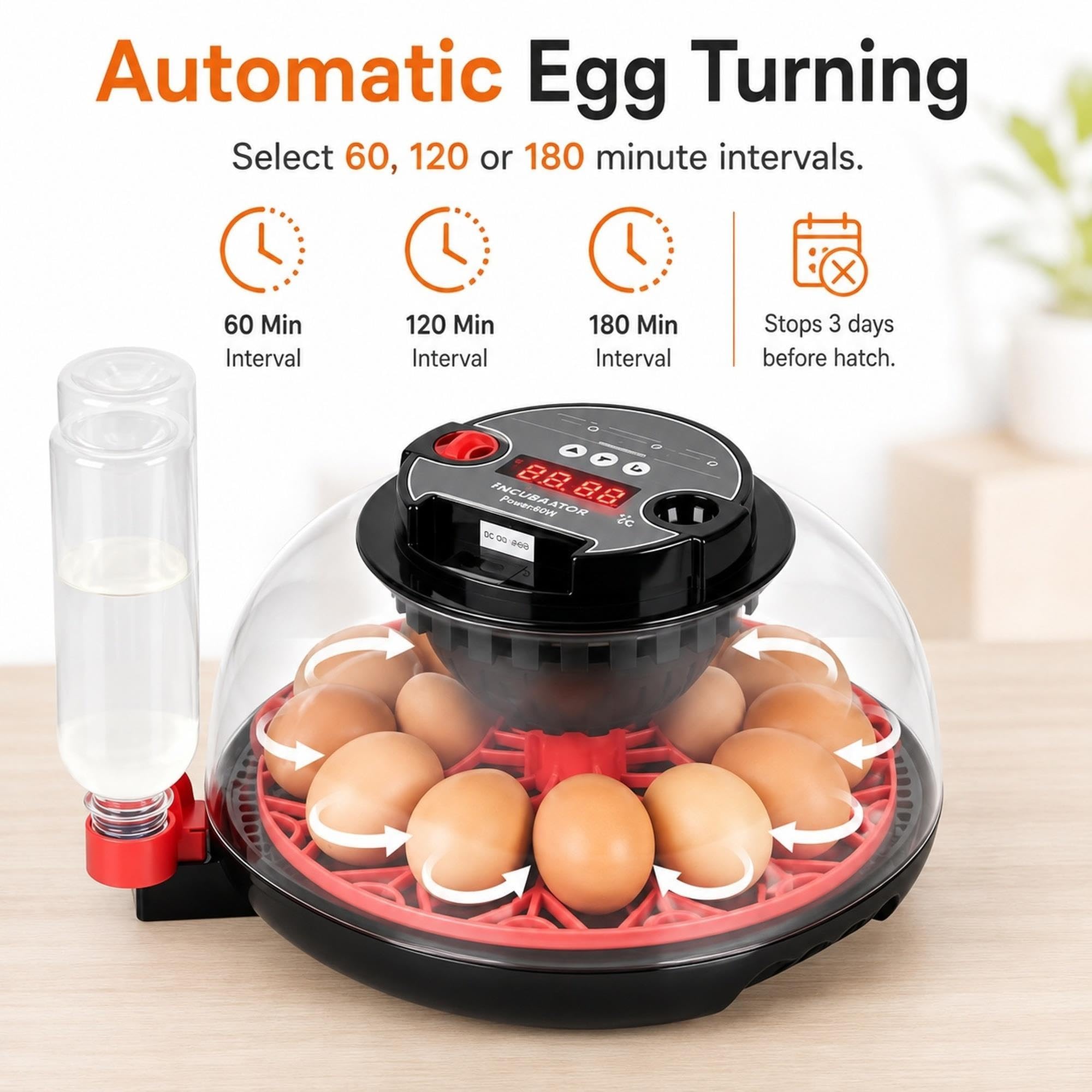 Incubatrice for 12 uova con rotazione automatica