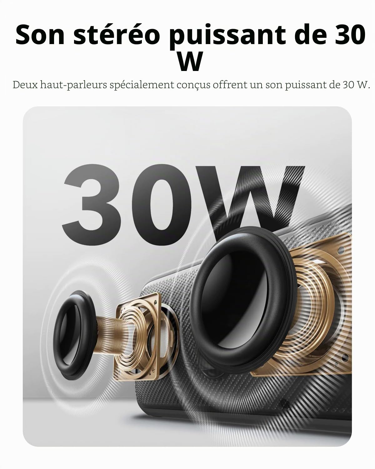 Soundcore Enceinte Bluetooth Puissante Motion 300 sans Fil Haute résolution avec BassUp,Enceinte avec SmartTune, Son stéréo 30 W, Autonomie 13H et étanche IPX7, pour l'Extérieur