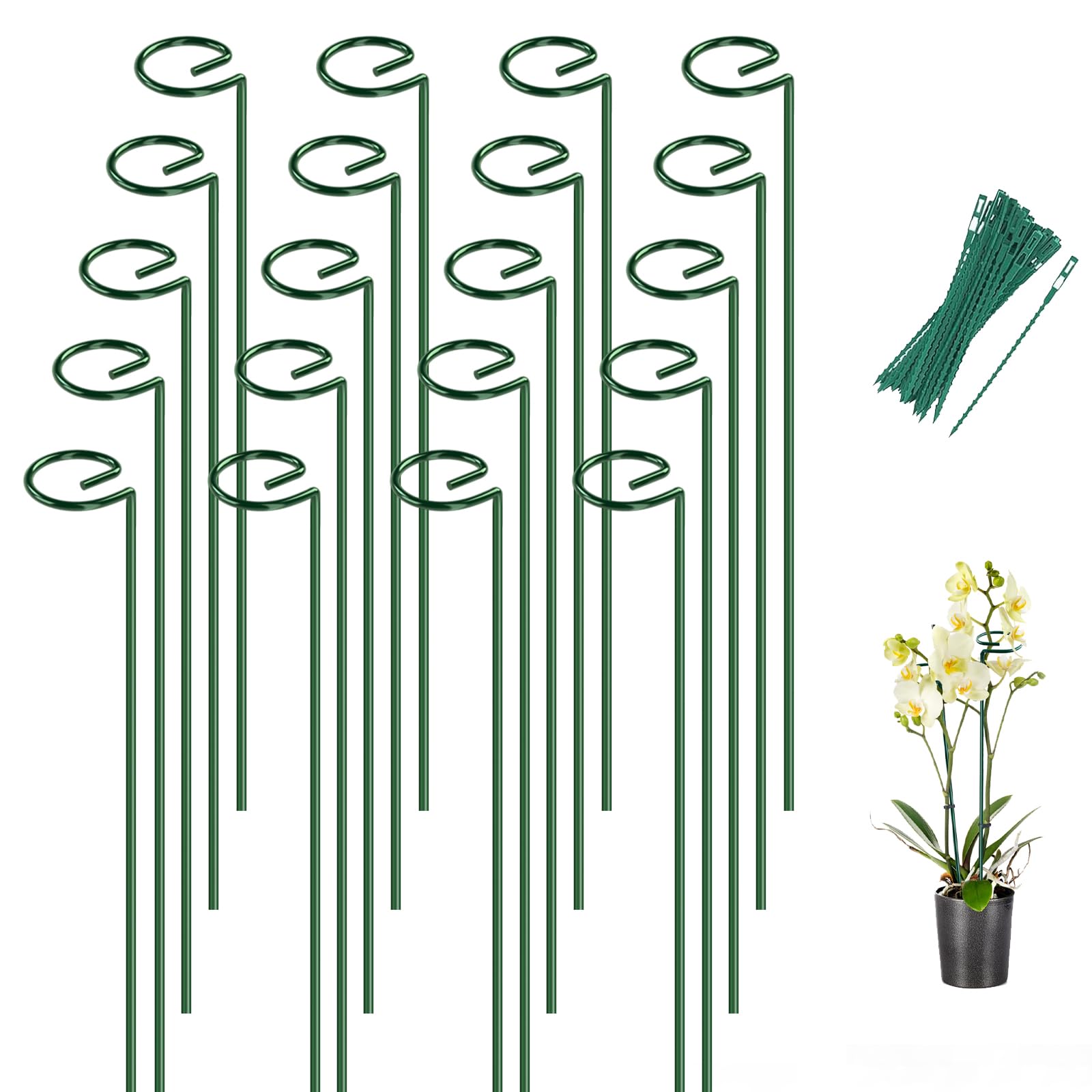 Breeze Touch 20 sztuk palików do roślin, 40 cm słupki podtrzymujące rośliny z 15 skręconymi wiązaniami, paliki do kwiatów, piwonii, sadzonek pomidorów, nagietka, amarylis, sadzonki, Coreopsis, 20 szt