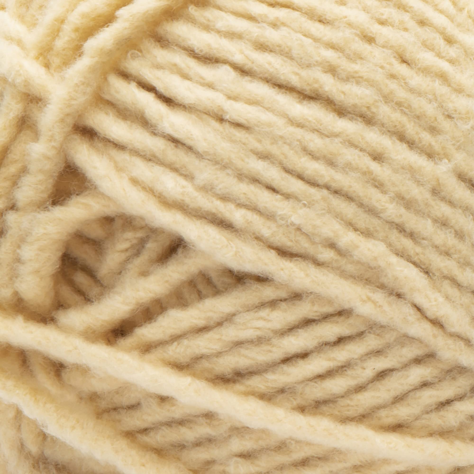 BERNAT Forever Fleece Yarn, Polyester, Chamomile, 280g - Image 2
