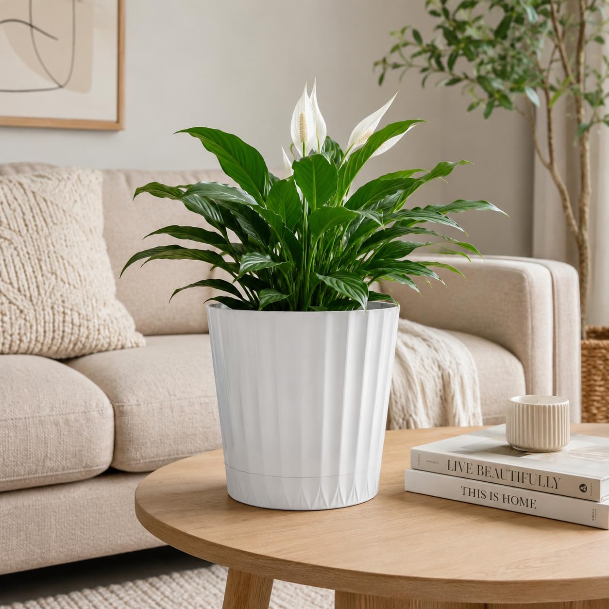 View 3