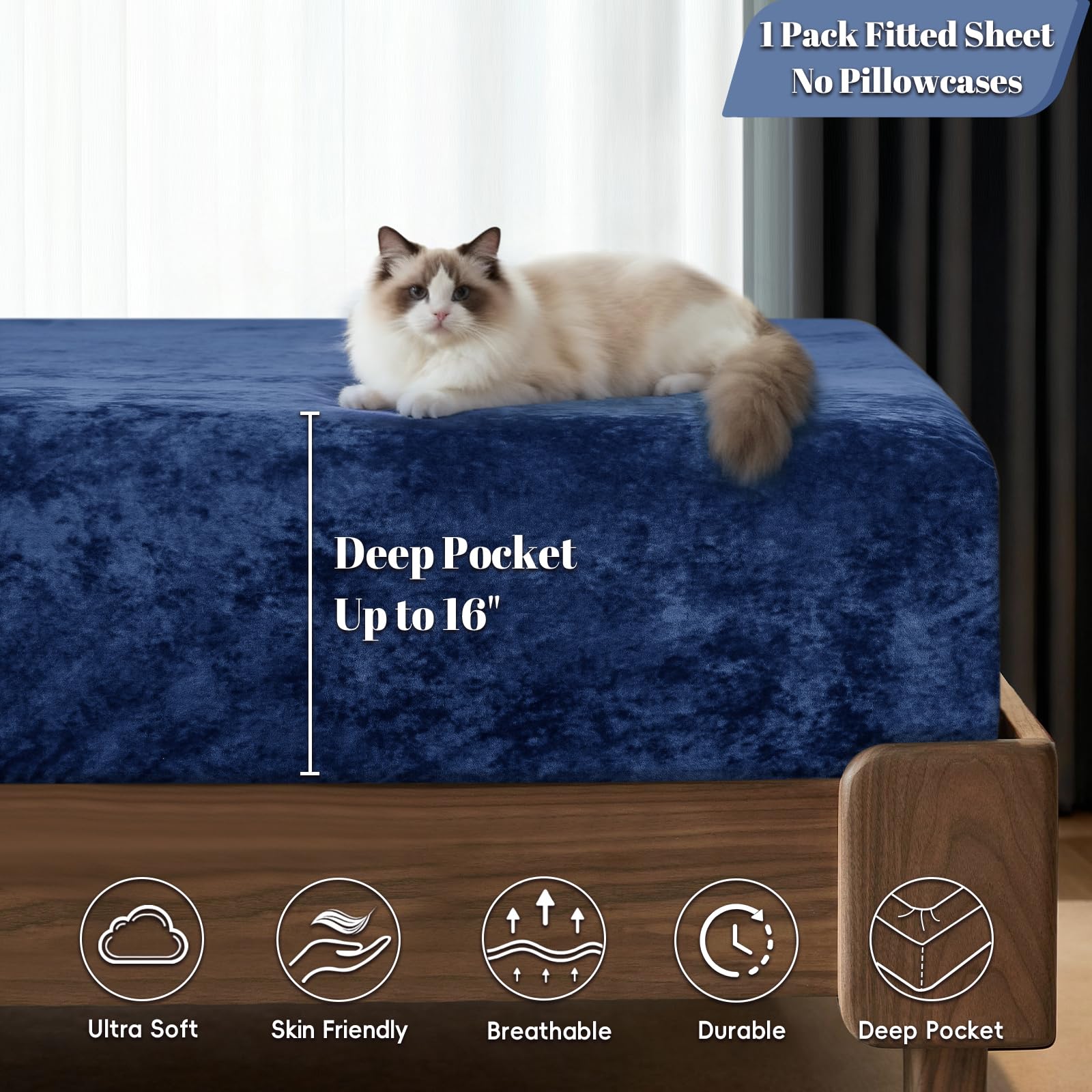 https://m.media-amazon.com/images/I/71myvOYMp0L.jpg