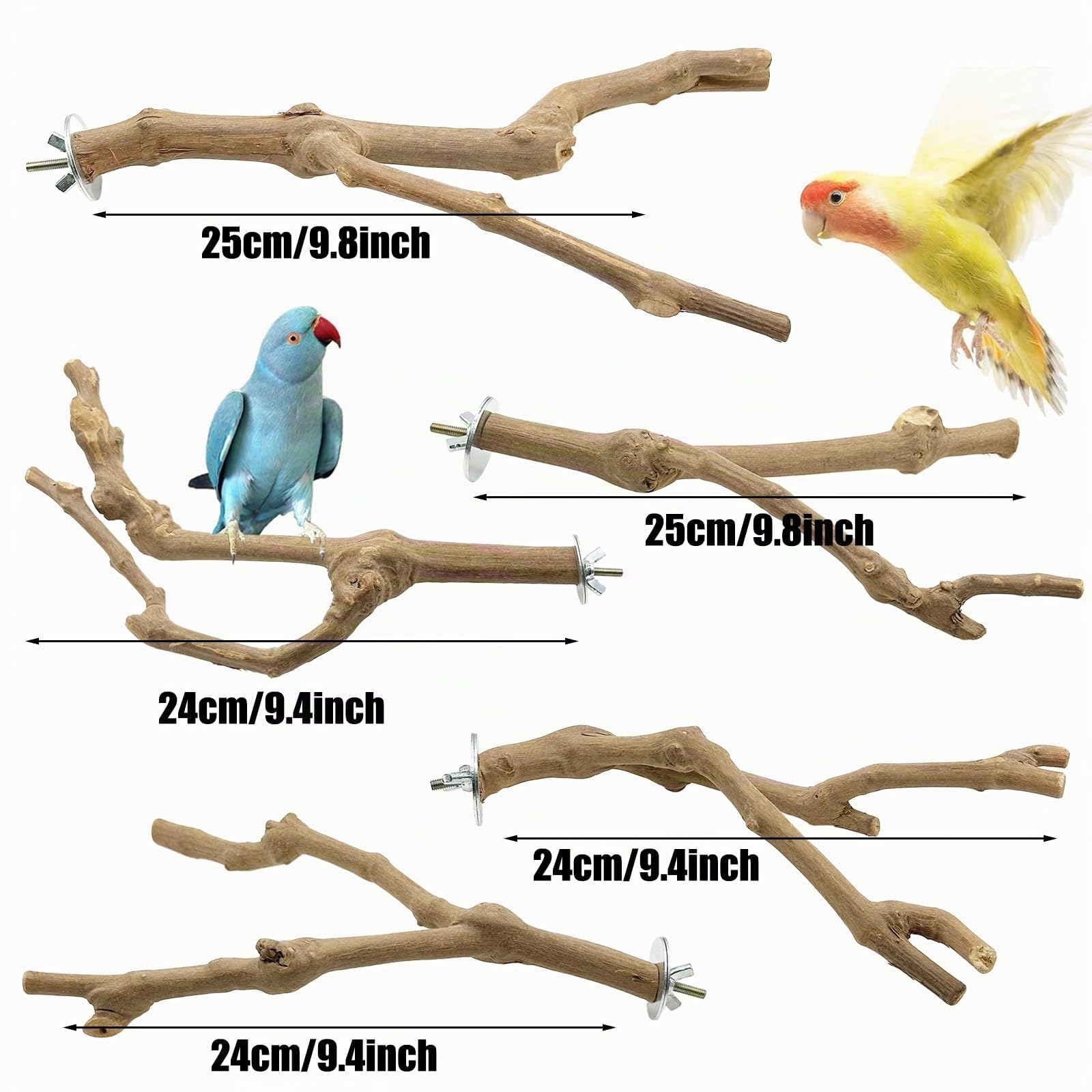 5 Pz Percha de Madera Natural para Pájaros de UVA Salvaje, Soporte para Jaulas