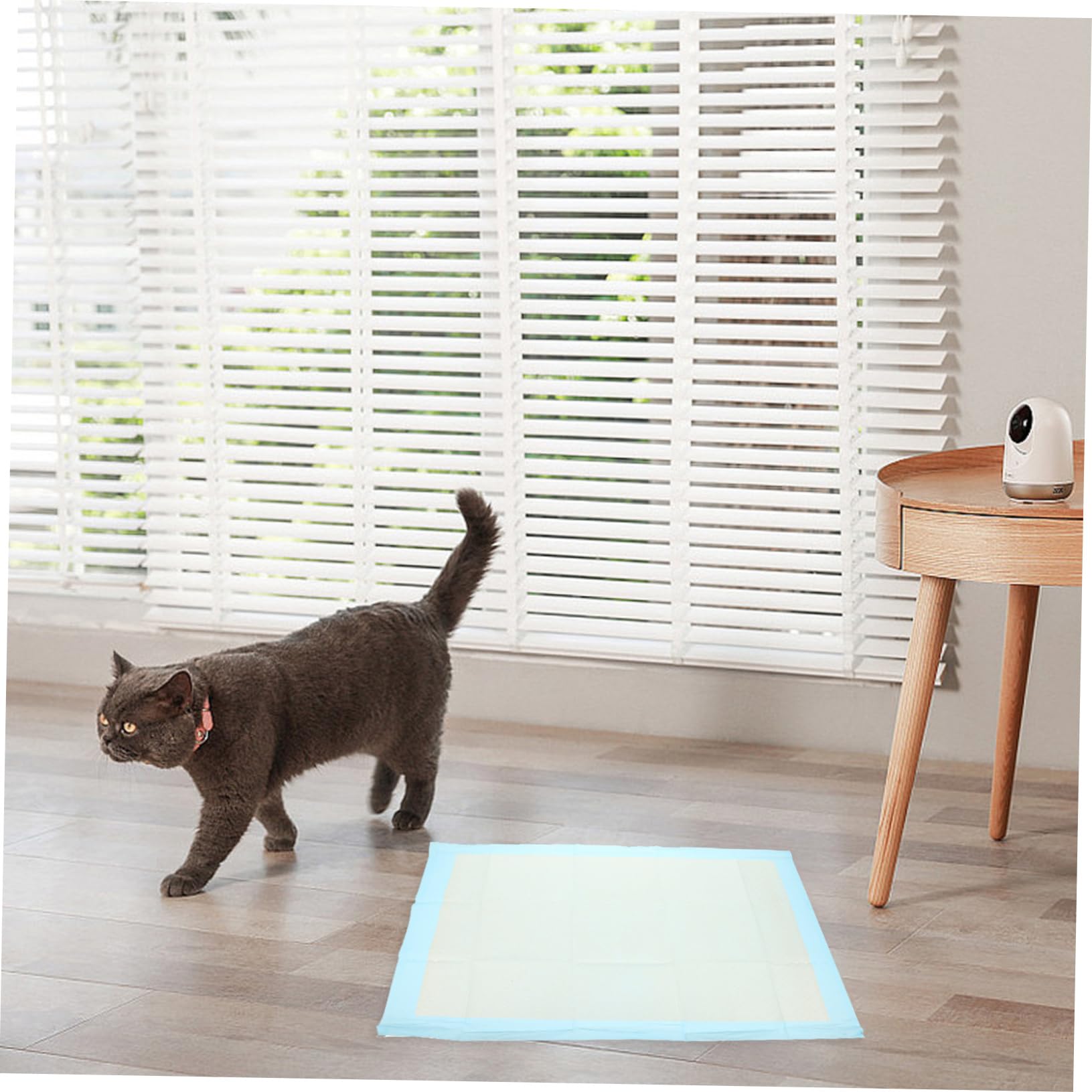 Tapis de Propreté pour Lapins Jetables, 50 Pièces, Non Tissé