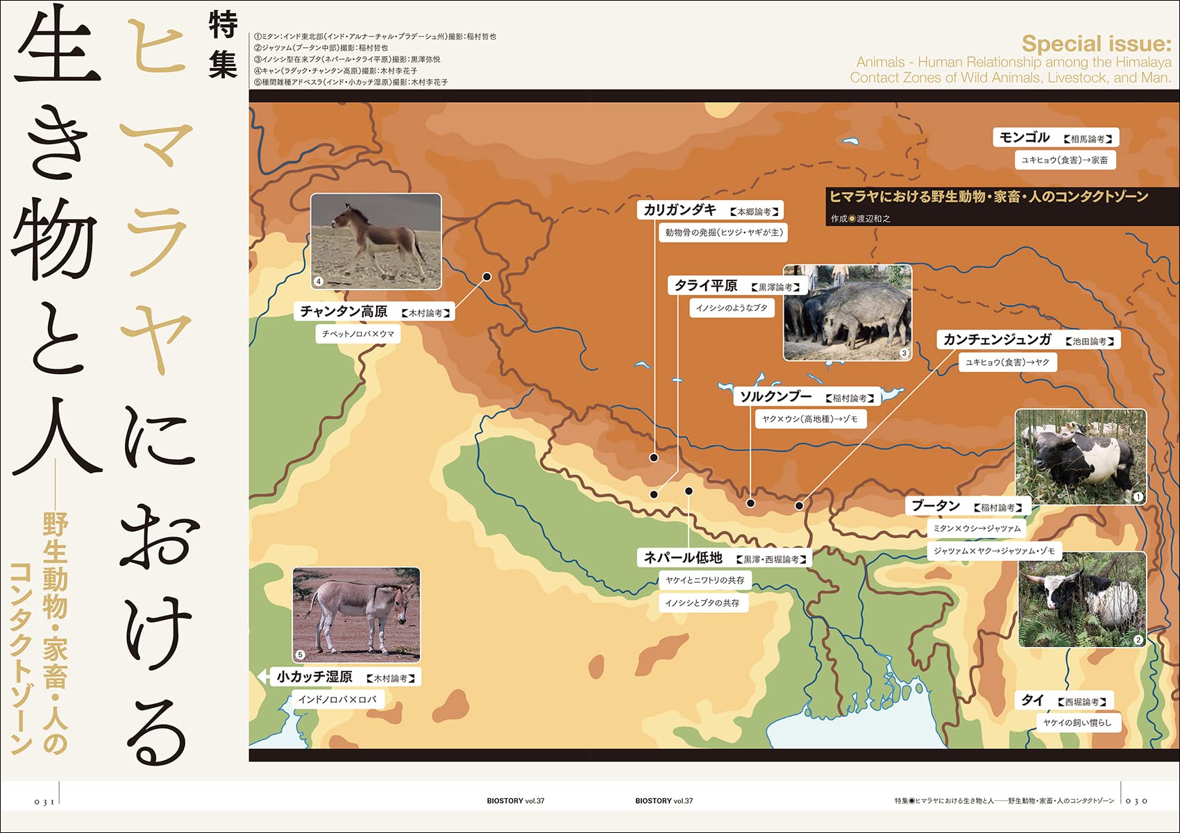 Biostory Vol 37 人と自然の新しい物語 Seibundo Mook Biostory 編集委員会 本 通販 Amazon