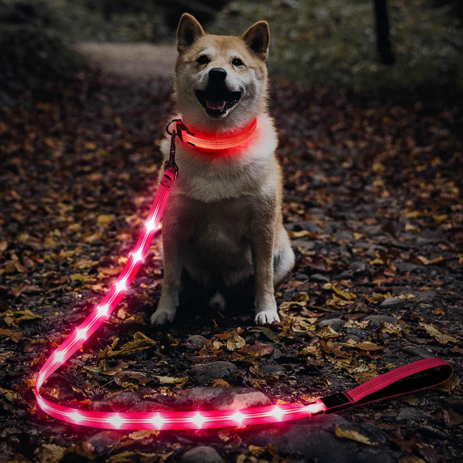 Illumifun LED Dog Leash
