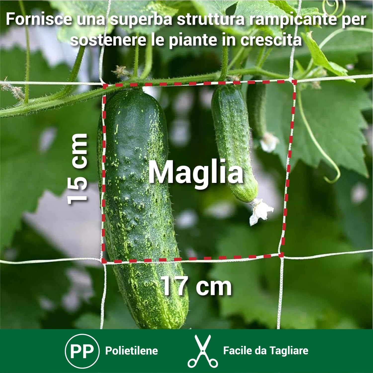 Crisalide Filet pour jardin et plantes grimpantes professionnel – Maille résistante en polyéthylène pour jardin, serre et culture agricole – Différentes dimensions (1,7 x 500 mètres)