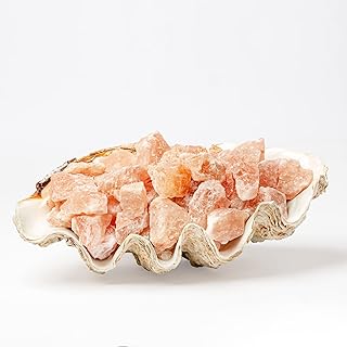 مصباح طاقة ايجابية - شكل قوقعة - ملح صخري، بني