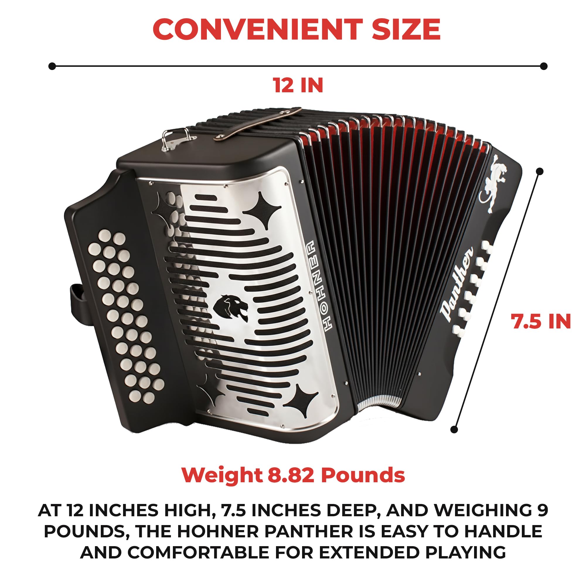Amazon.com: Hohner Panther Diatonic Accordion - Keys F/Bb/Eb