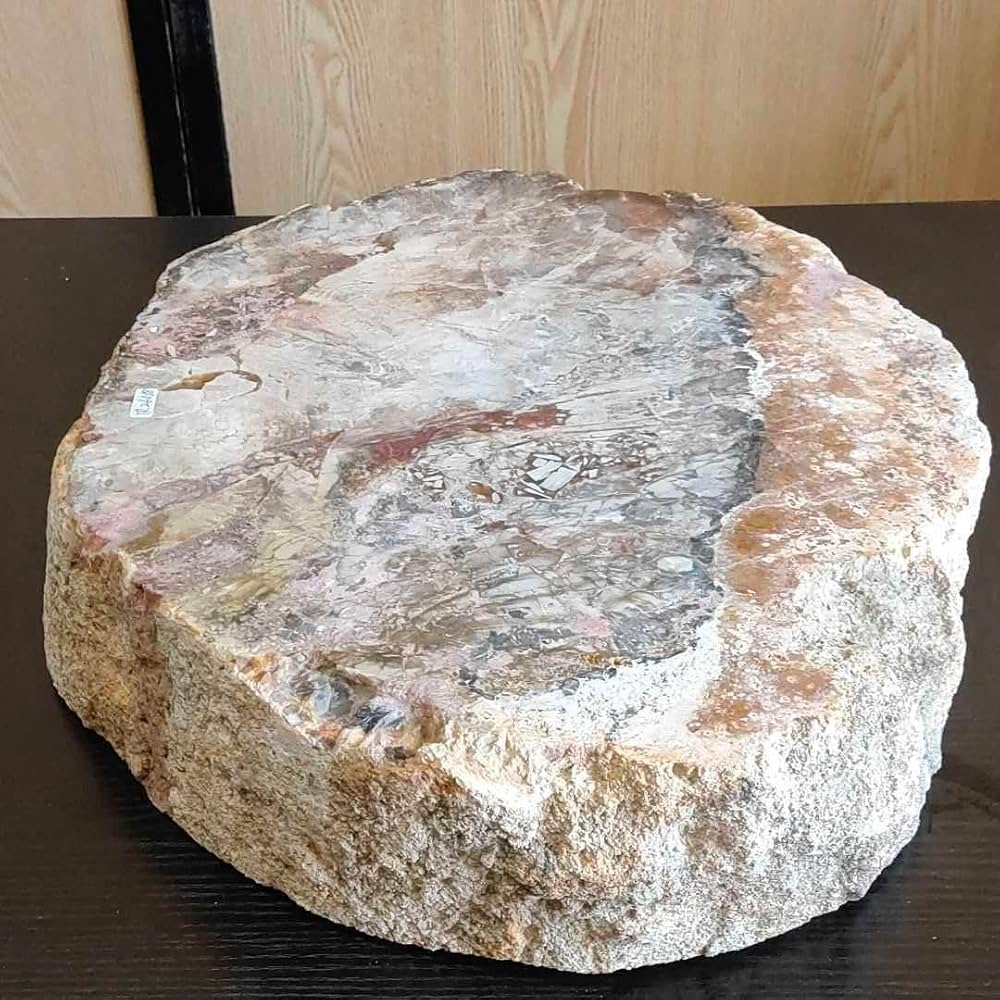 アリゾナ州で発掘された超大型珪化木の化石重量なんと21.3kg Amazon.co.jp: アリゾナ州で発掘された超大型珪化木の化石重量