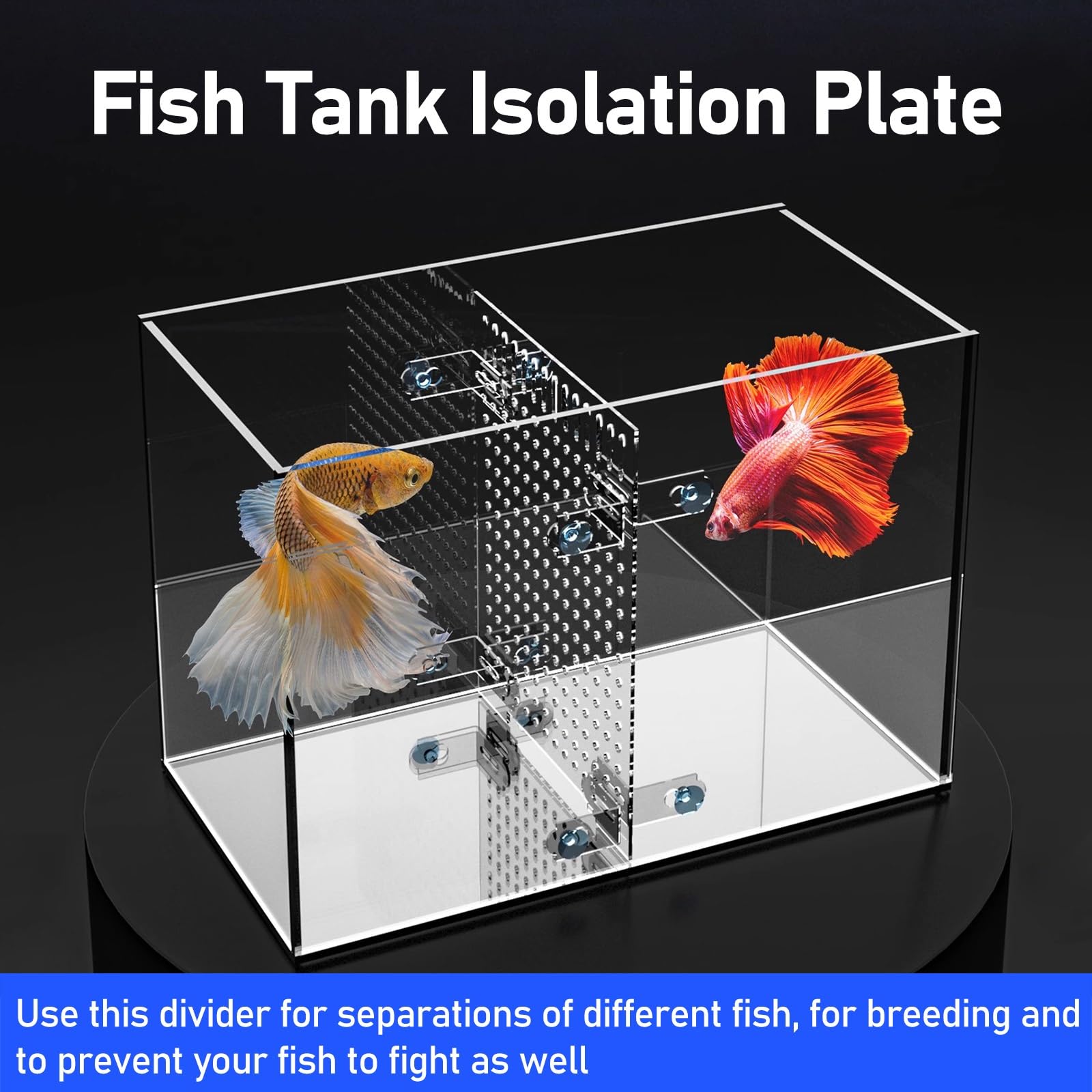 Divisor de Acuario Kit transparente de divisor de pecera de acrílico, divisor de tanque con ventosa/accesorios de acuario para pecera, filtro divisor de pecera de acuario ajustable para peces bebés(38