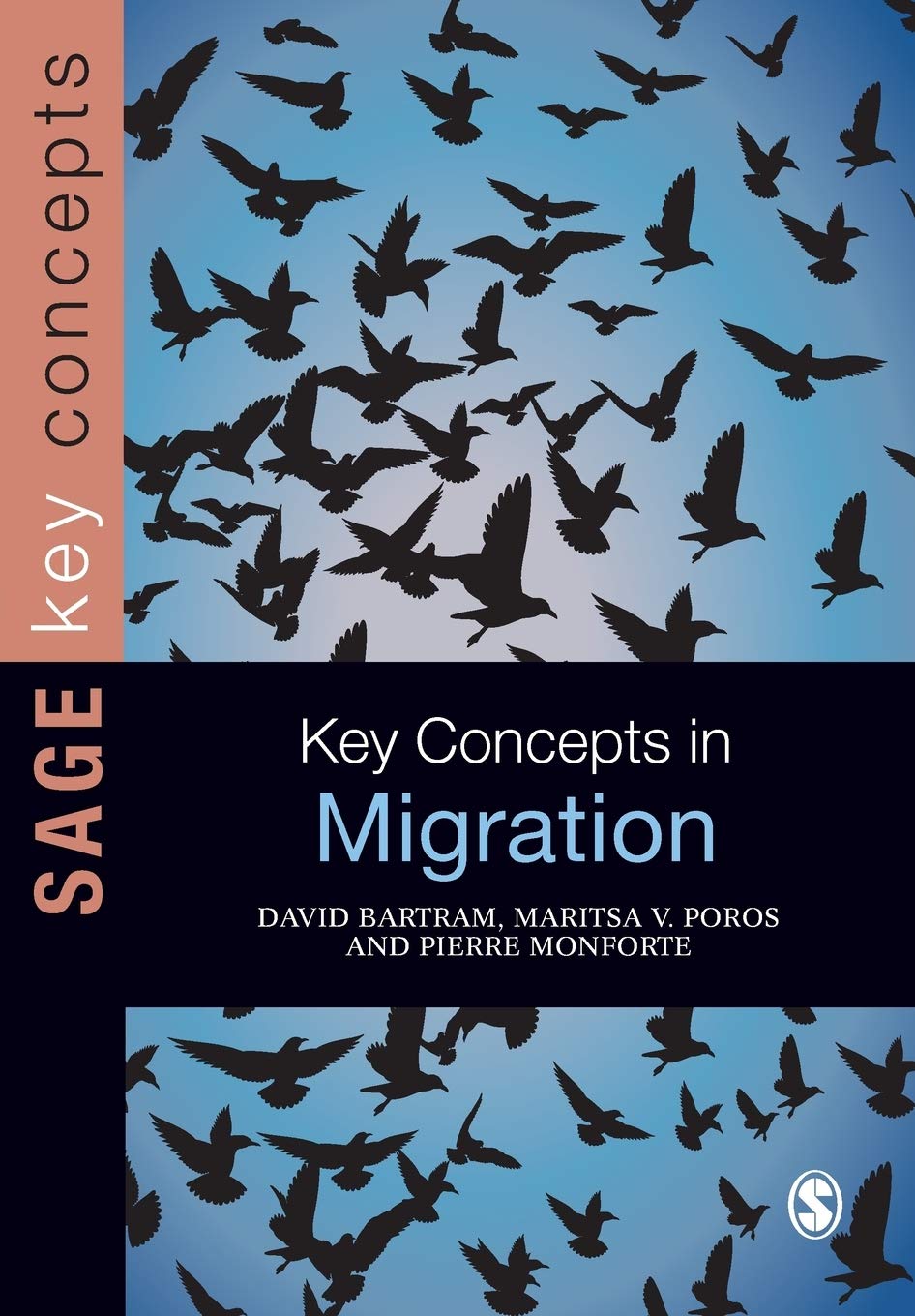 Key Concepts in Migration (SAGE Key Concepts series) By David Bartram,Maritsa P