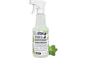Mighty Mint Stain & Odor Remover: Eliminate Sofa Stains and Odors