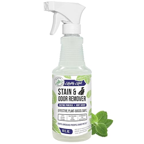 Mighty Mint Stain & Odor Remover (16 oz, Peppermint)