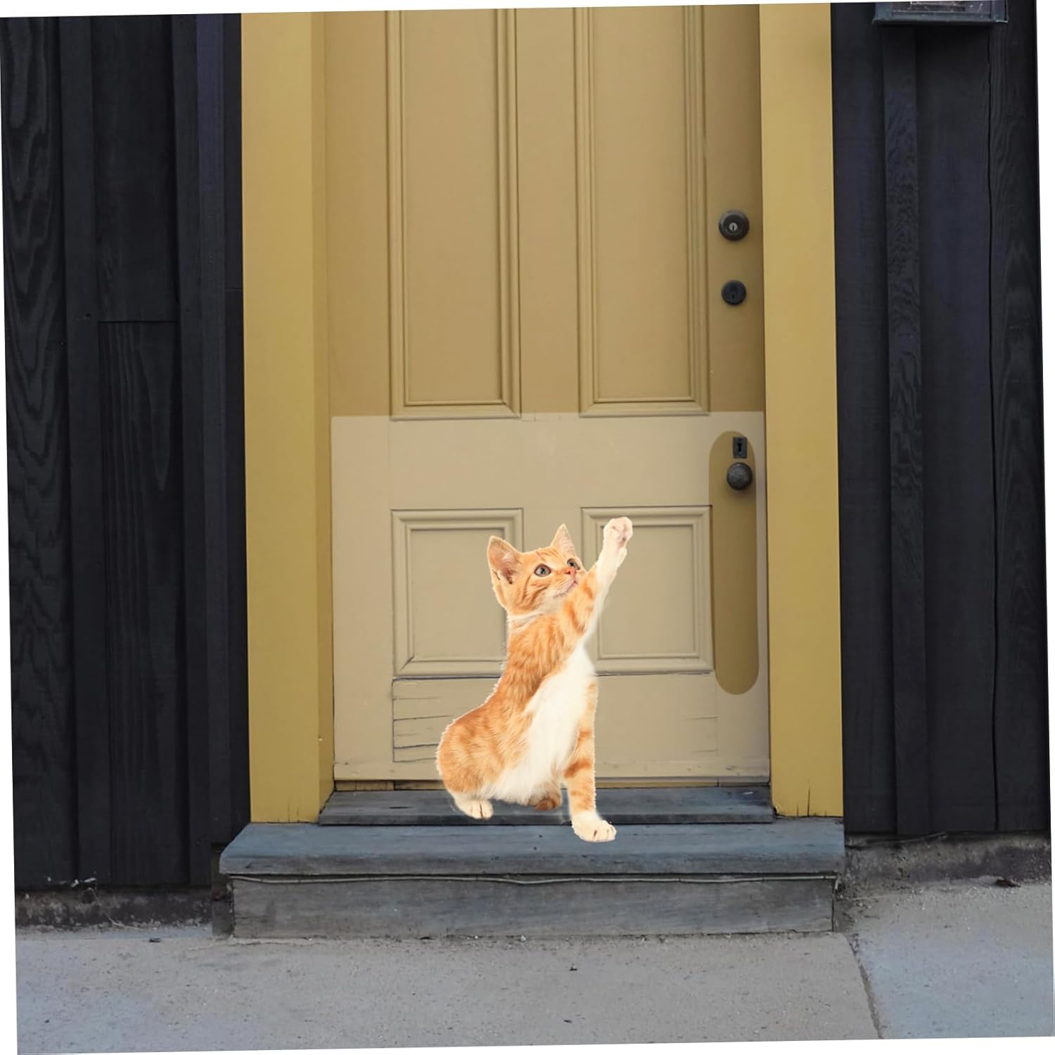 2pcs Pet Door Scratch Sticker Claw Door Shield Scratch Shield Pet Supplies Furniture