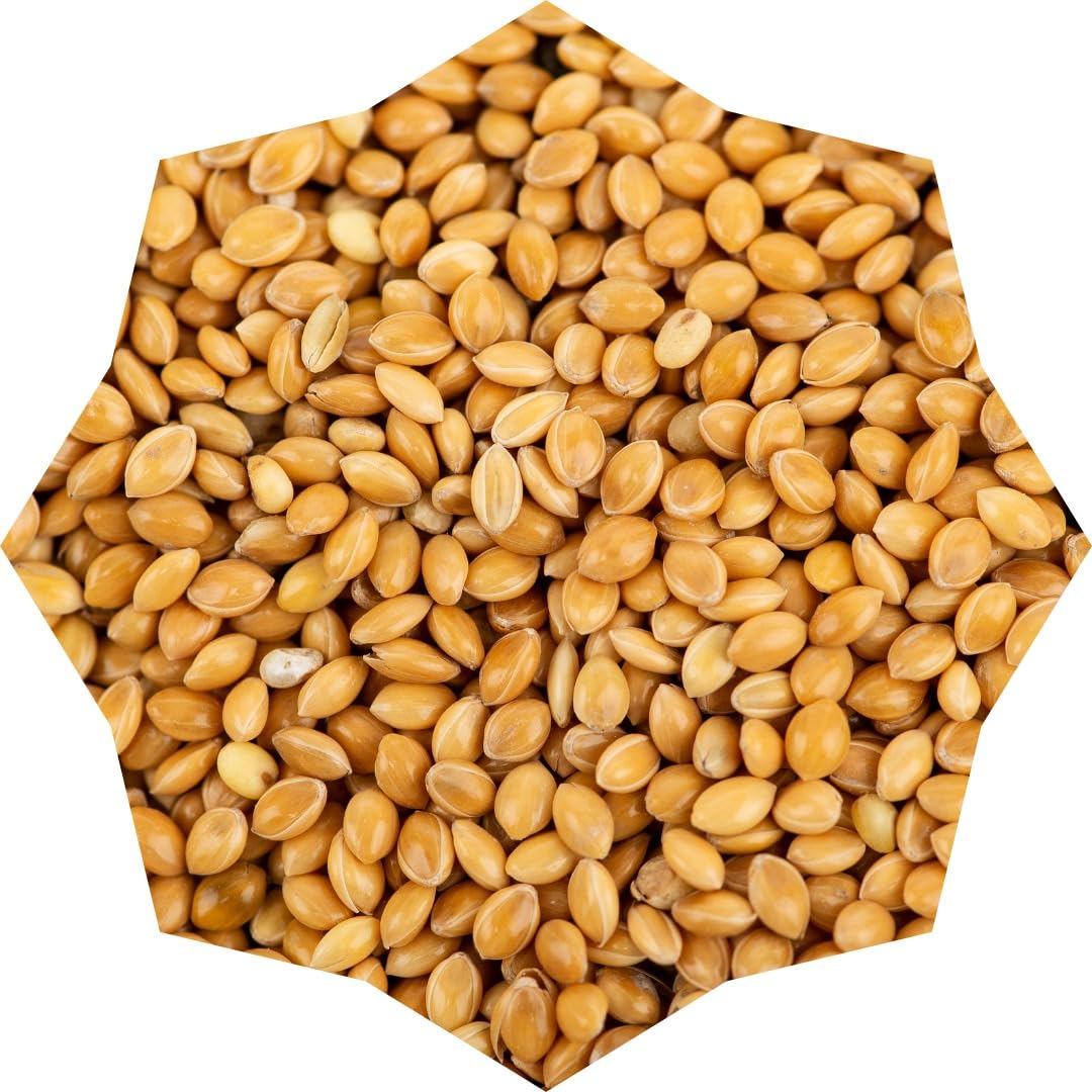 Trendlix Creation High Energy Big Size Kangni Seeds for Bird Food Dry Adult Bird Food (1 kg)-picture-12