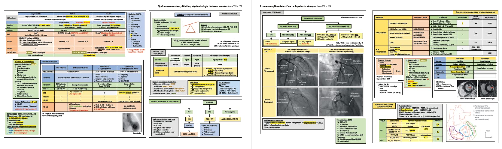 Objectif EDN : L'Atout EDN: Le programme R2C en 600 fiches visuelles colorées