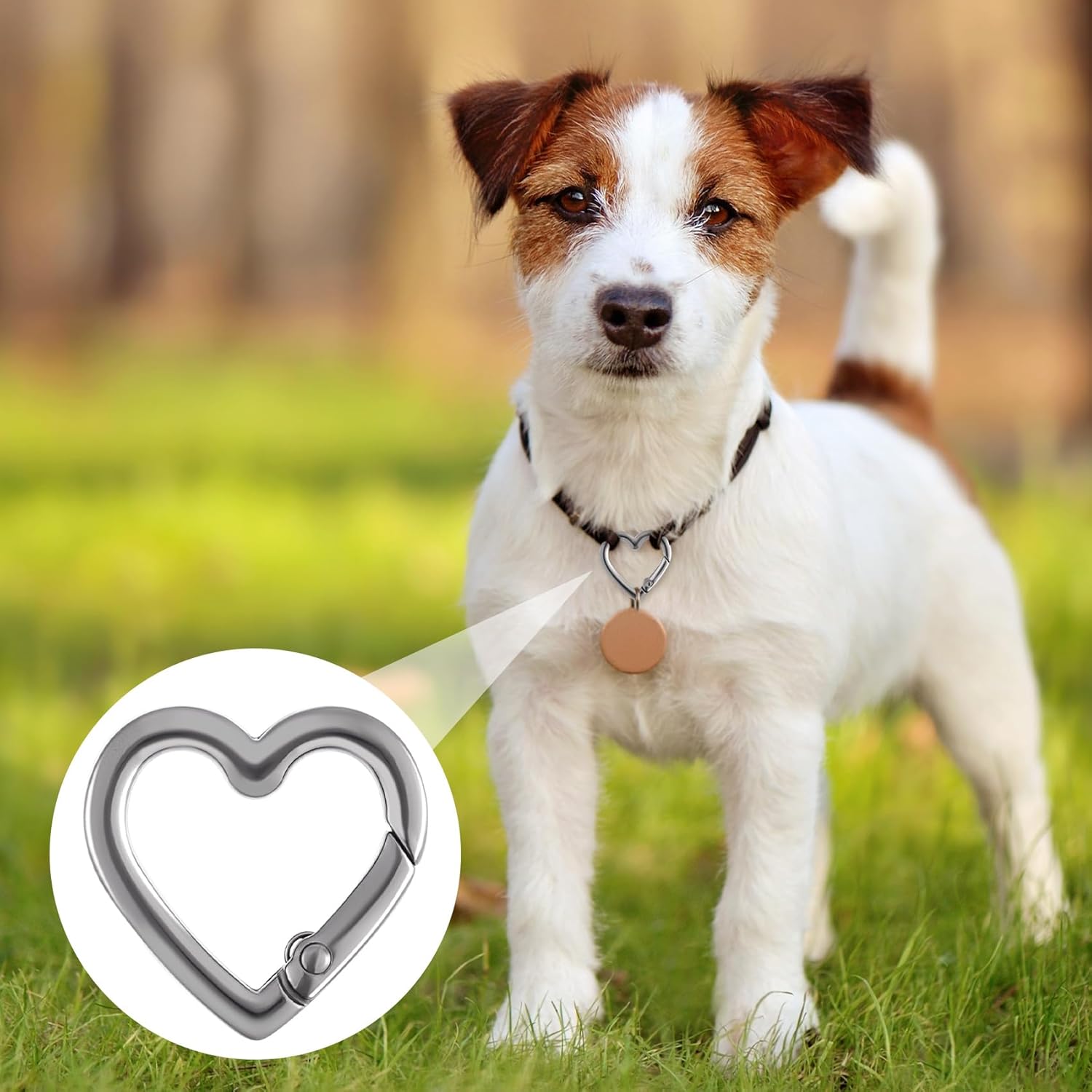 Keychain Clip, Zinc Alloy Heavy Duty Heart Carabiner, Spring Snap Clasp Hook for Camping Hiking Fishing Traveling - Image 6