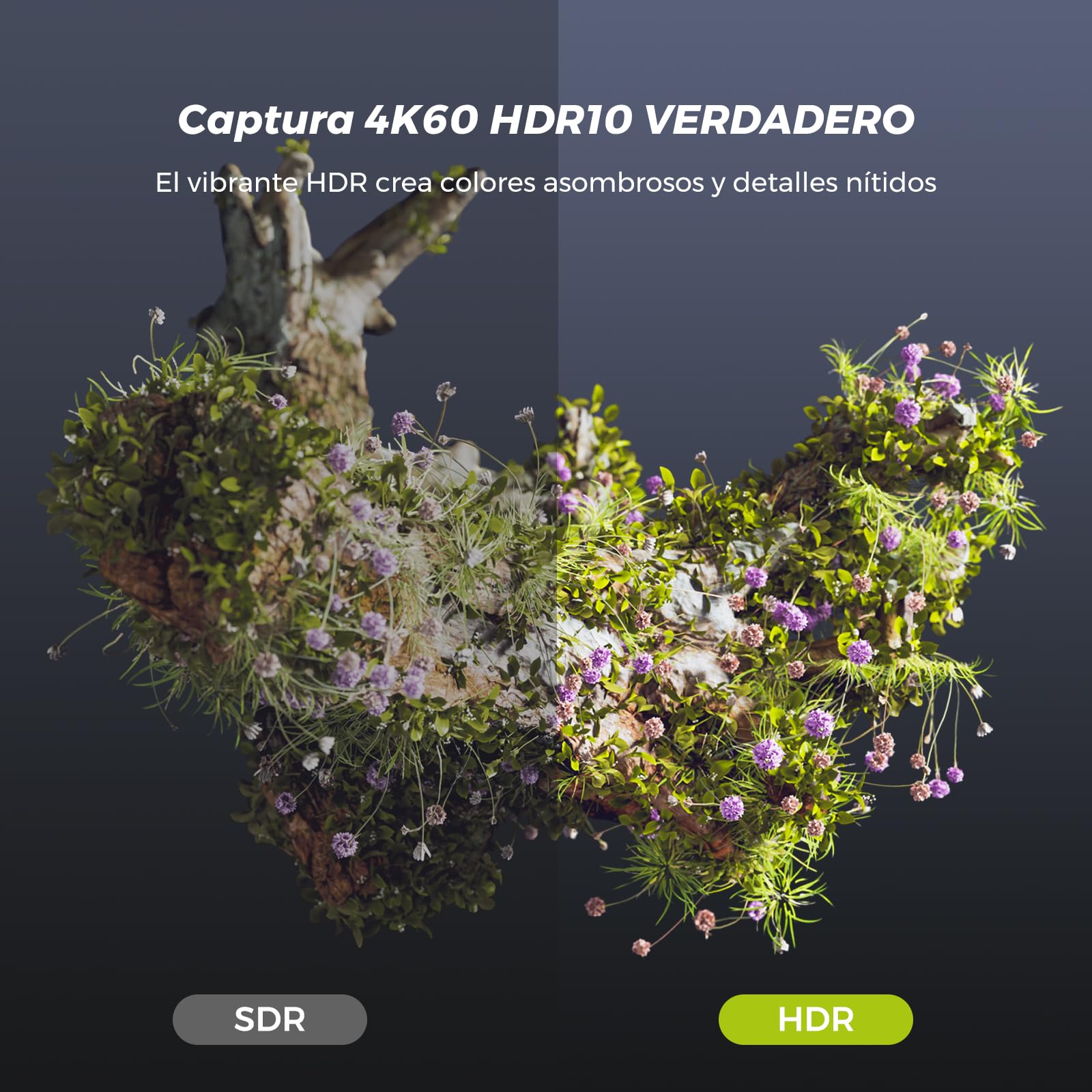 NearStream Tarjeta de Captura de Video HDMI 2.0 & USB 3.1,Capturadora de Video para Streaming,4K 60 fps HDR10 Captura&4K Passthrough para PC/MAC/Cámaras/PS4/PS5/Switch/Xbox Series X/S/OBS