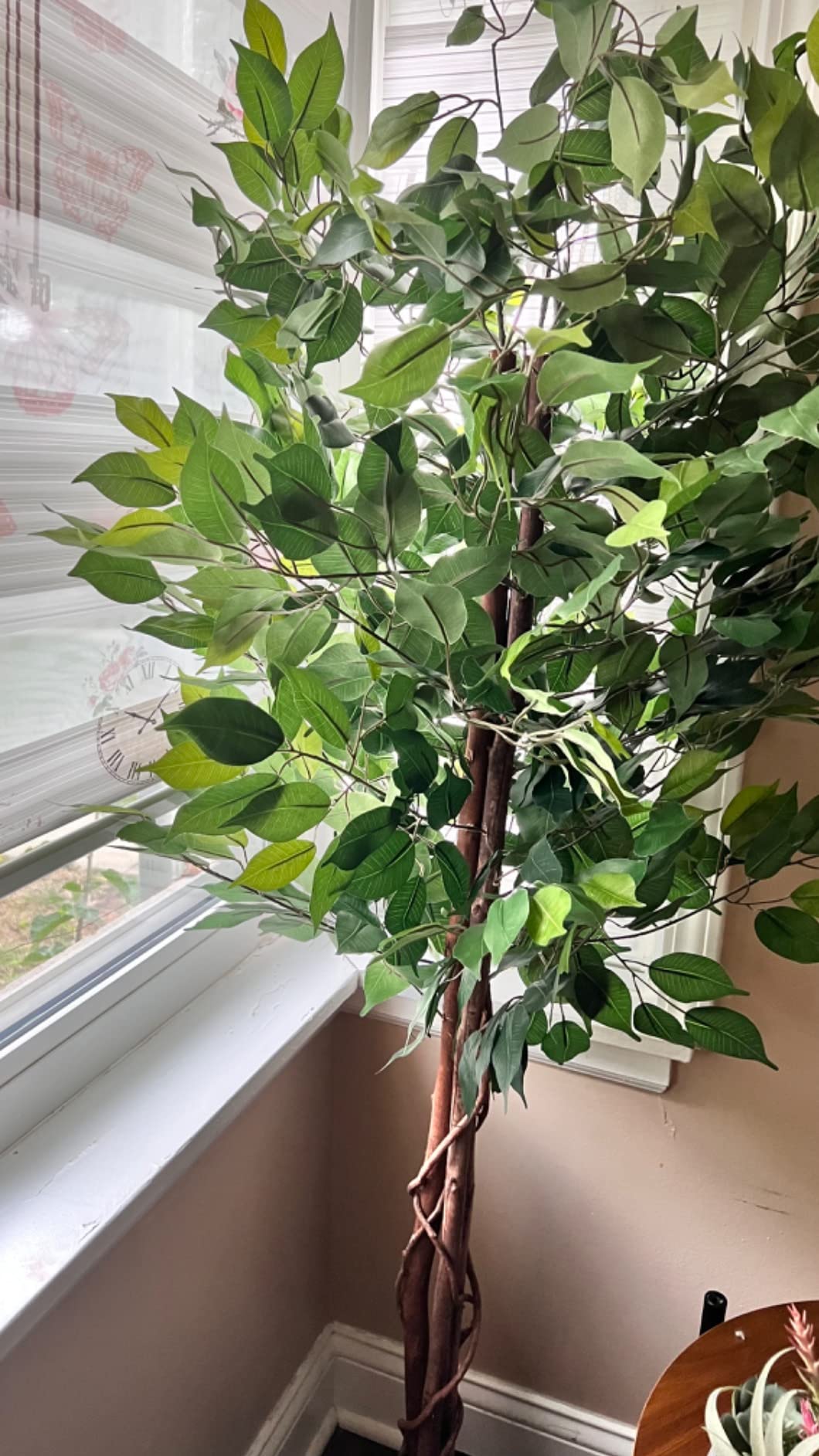 17/mo Finance 2 Pack 6.2ft Ficus Tree Artificial Tree Christmas Tree