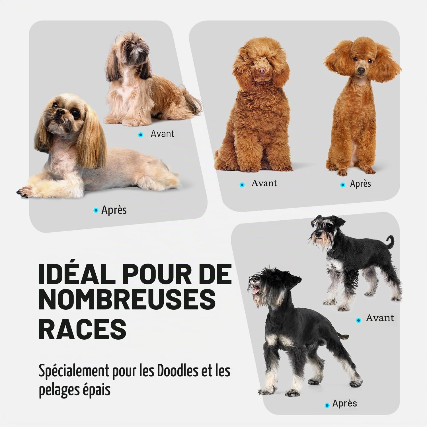 Tondeuse pour chiens avec peignes métalliques amovibles et lame de rechange amovible, tondeuse pour chiens, rasoir pour chiens, tondeuse professionnelle pour poils épais