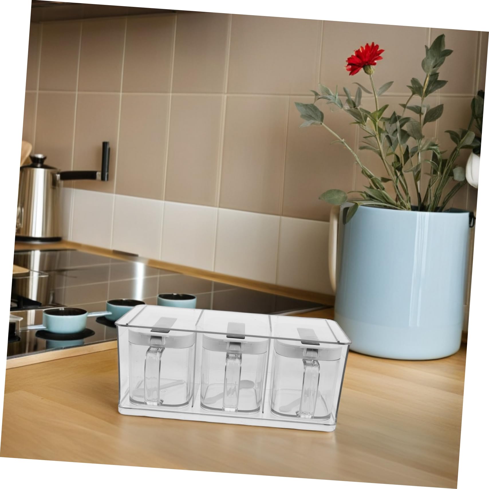UKCOCO Boîte à Épices Transparente avec Couvercle en Pet, Rangement Multifonctionnel Mural Cuisine, Design Simple et Élégant, Set de D'assaisonnement