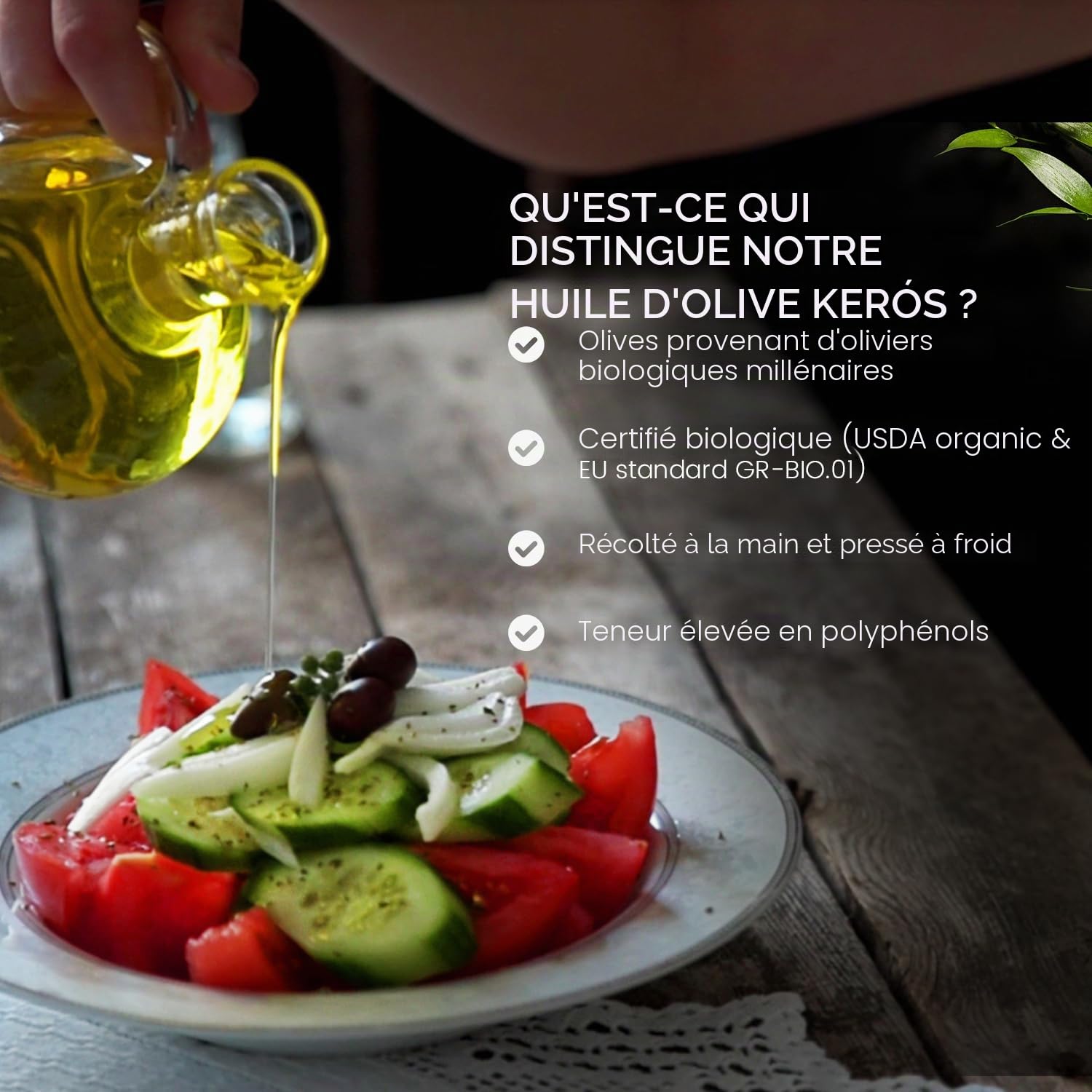 Ancient Foods BIO | Huile d'Olive Bio Kerós | pressée à froid | Huile d'olive grecque extra vierge | Riche en phénol | Arbres vieux de 1000 ans | Récolte manuelle traditionnelle | Bidon de 500ML