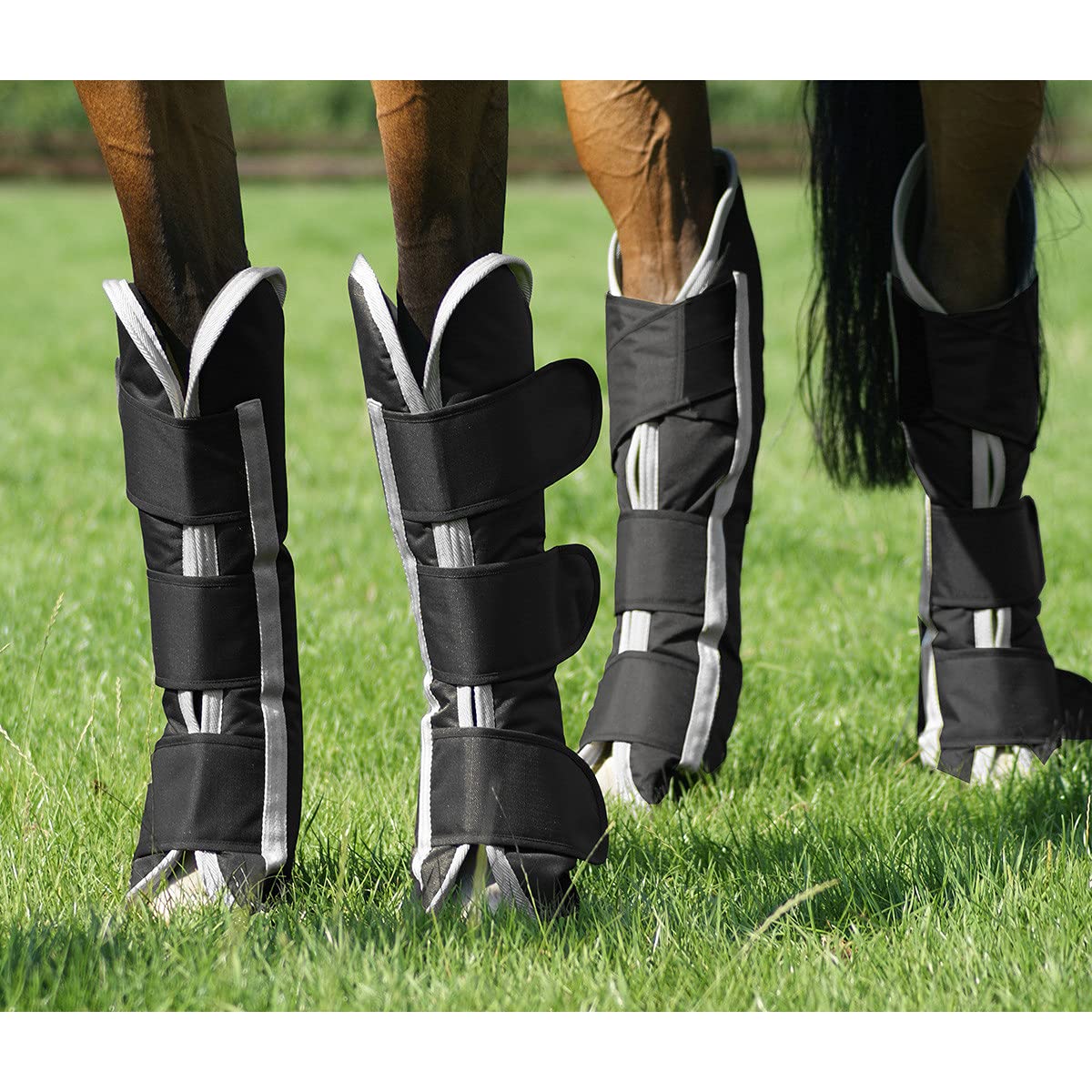 QHP Transportgamaschen 4er Set aus Ripstopmaterial schwarz Klettverschlüsse (Vollblut)