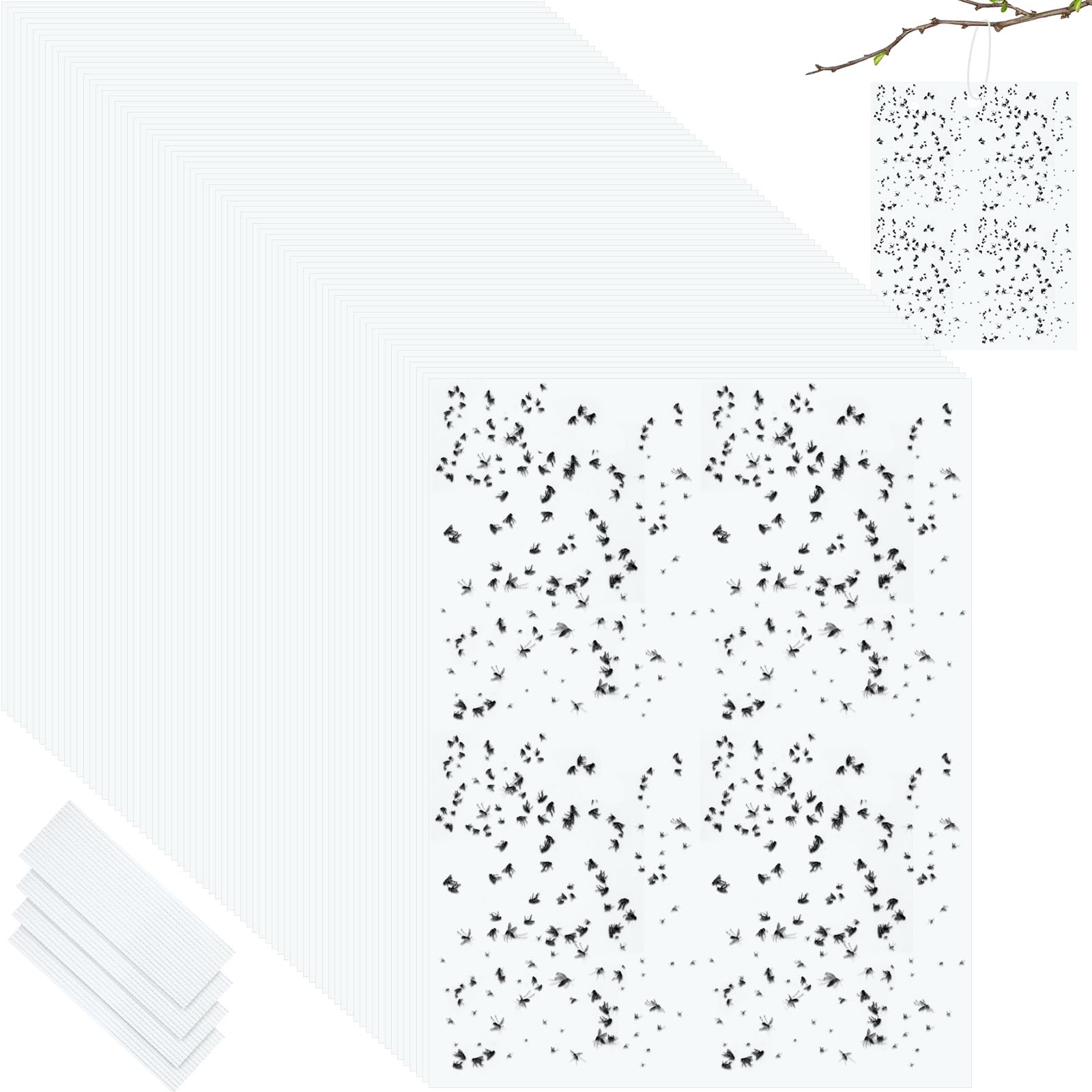 Qualirey 100 trappole adesive per piante, 15,2 x 20,3 cm, biadesivo, per moscerini, con legami intrecciati, trappole per mosche, per frutta, insetti, funghi, insetti per interni ed esterni (bianco)