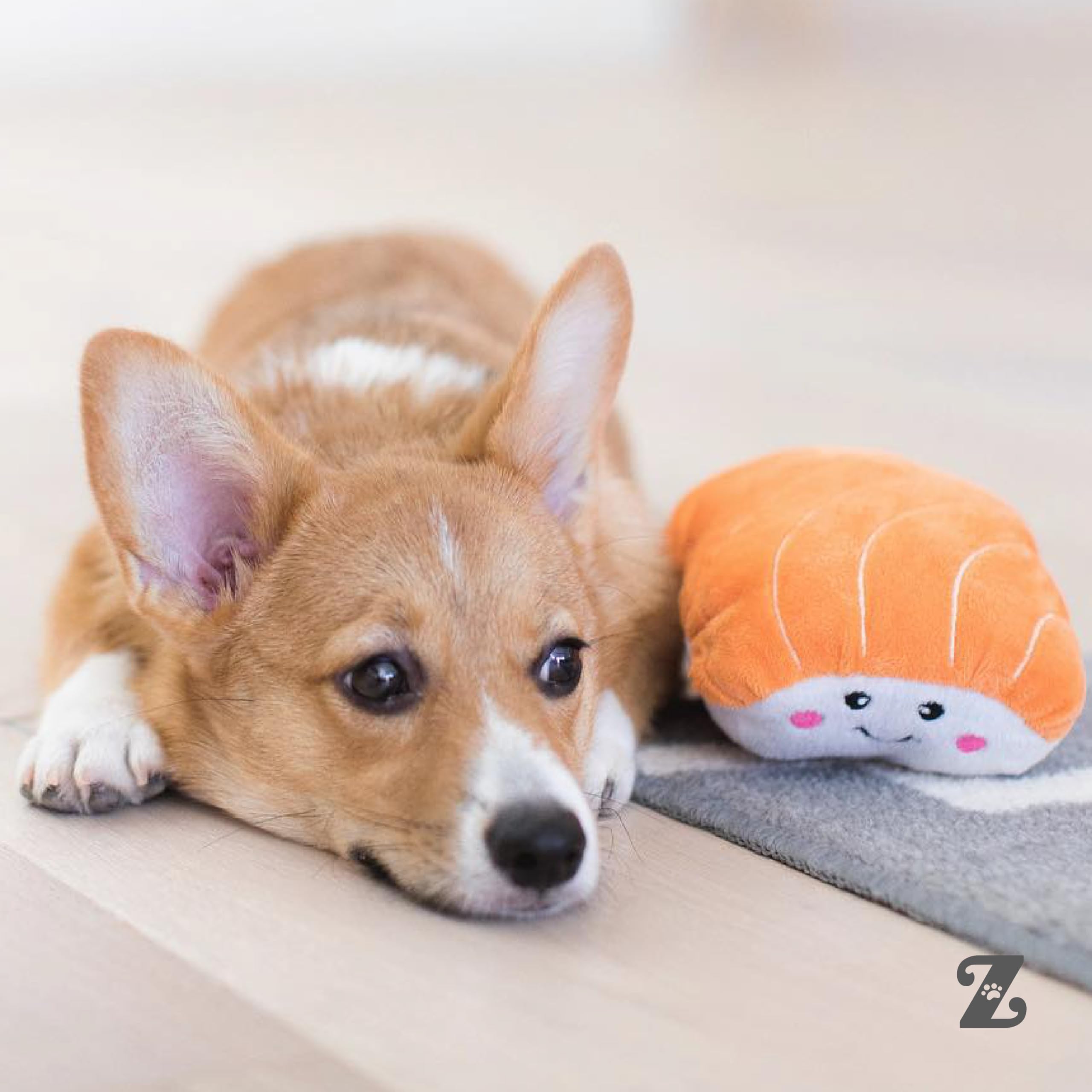Amazon.com : ZippyPaws NomNomz - Dog Squeaky Toys to Keep Them
