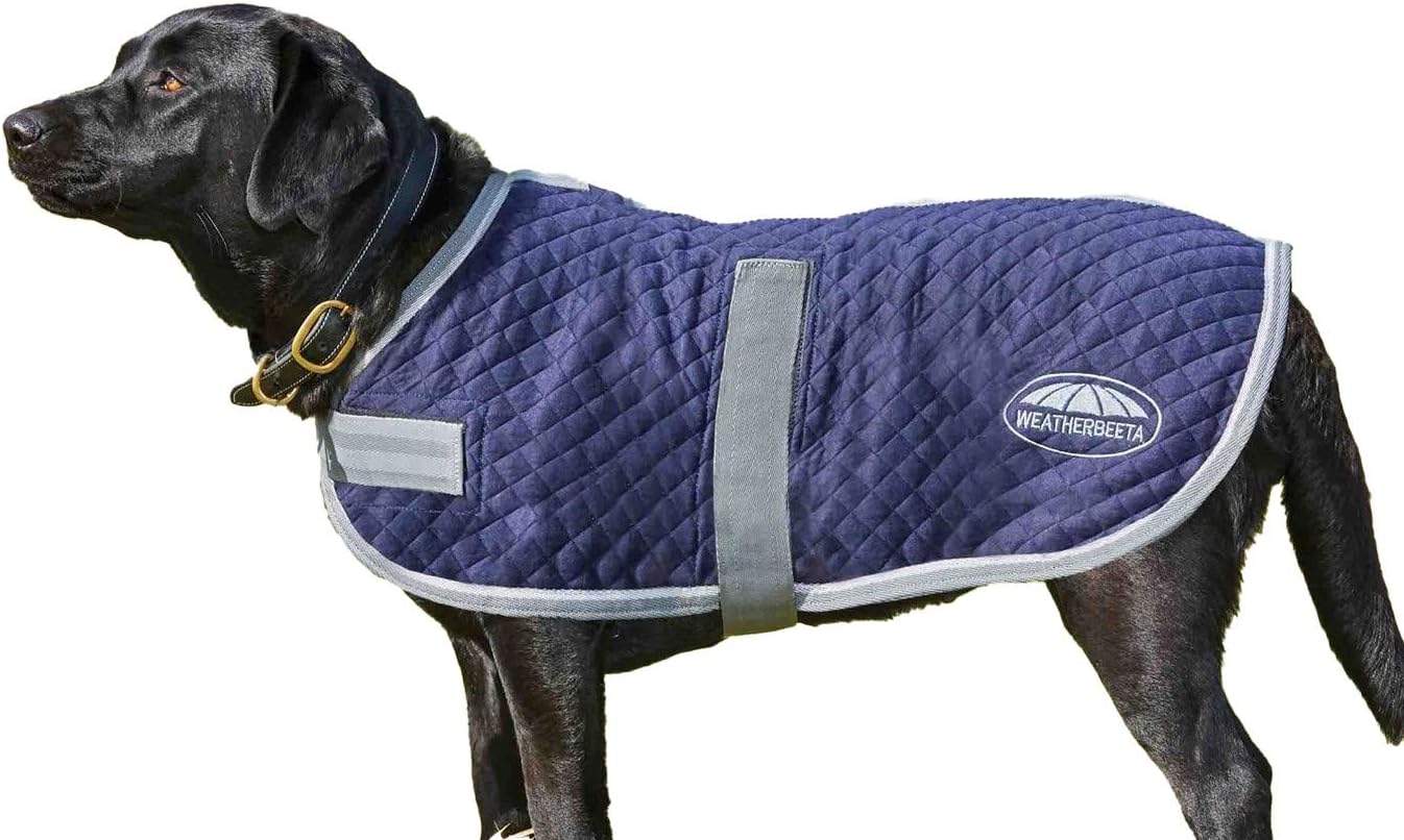 WeatherBeeta Thermic Dog Coat Navy/Grey/White 24