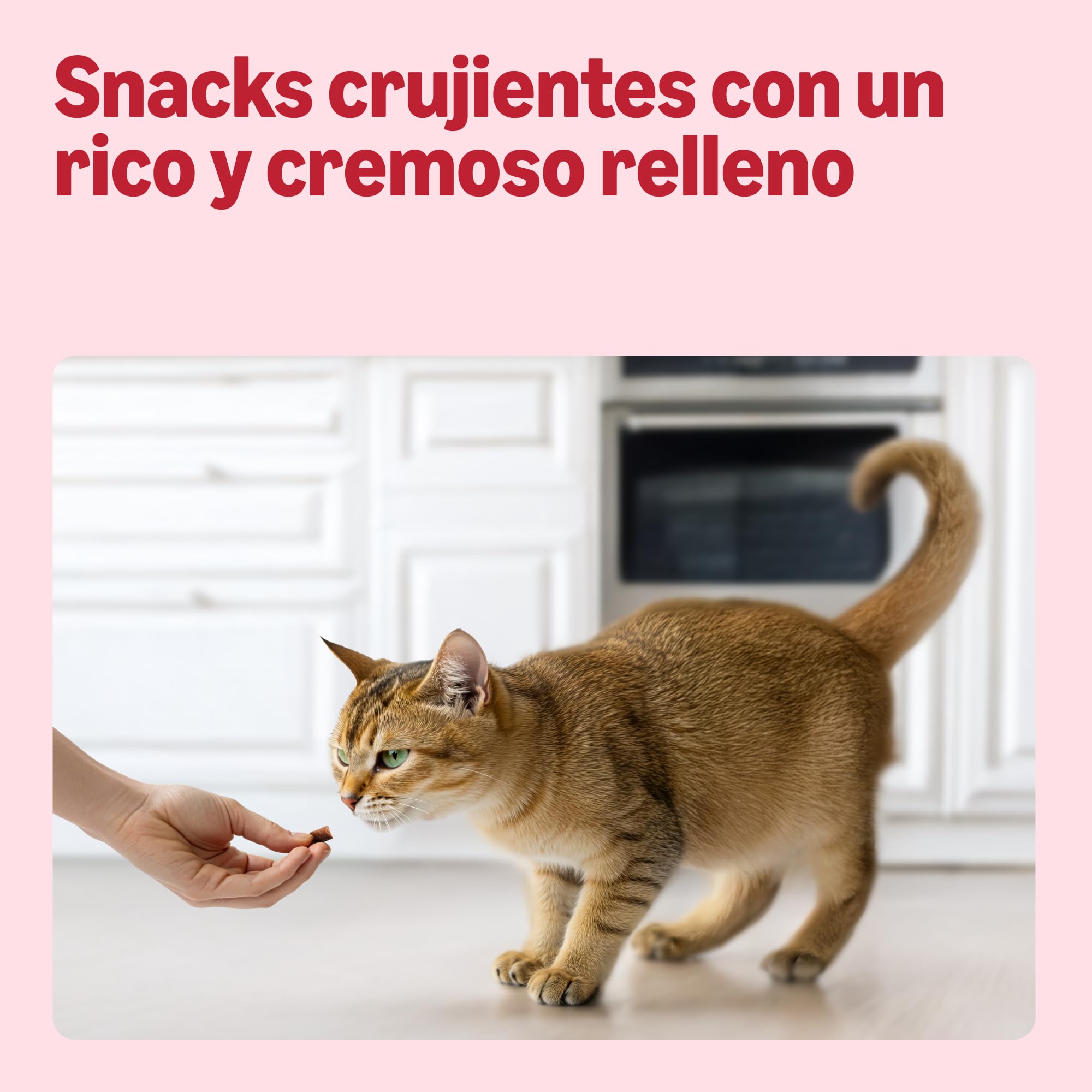 by Amazon - Chucherías para gatos - Bocados crujientes y cremosos, combaten bolas de pelo, con ternera y malta, 70 g