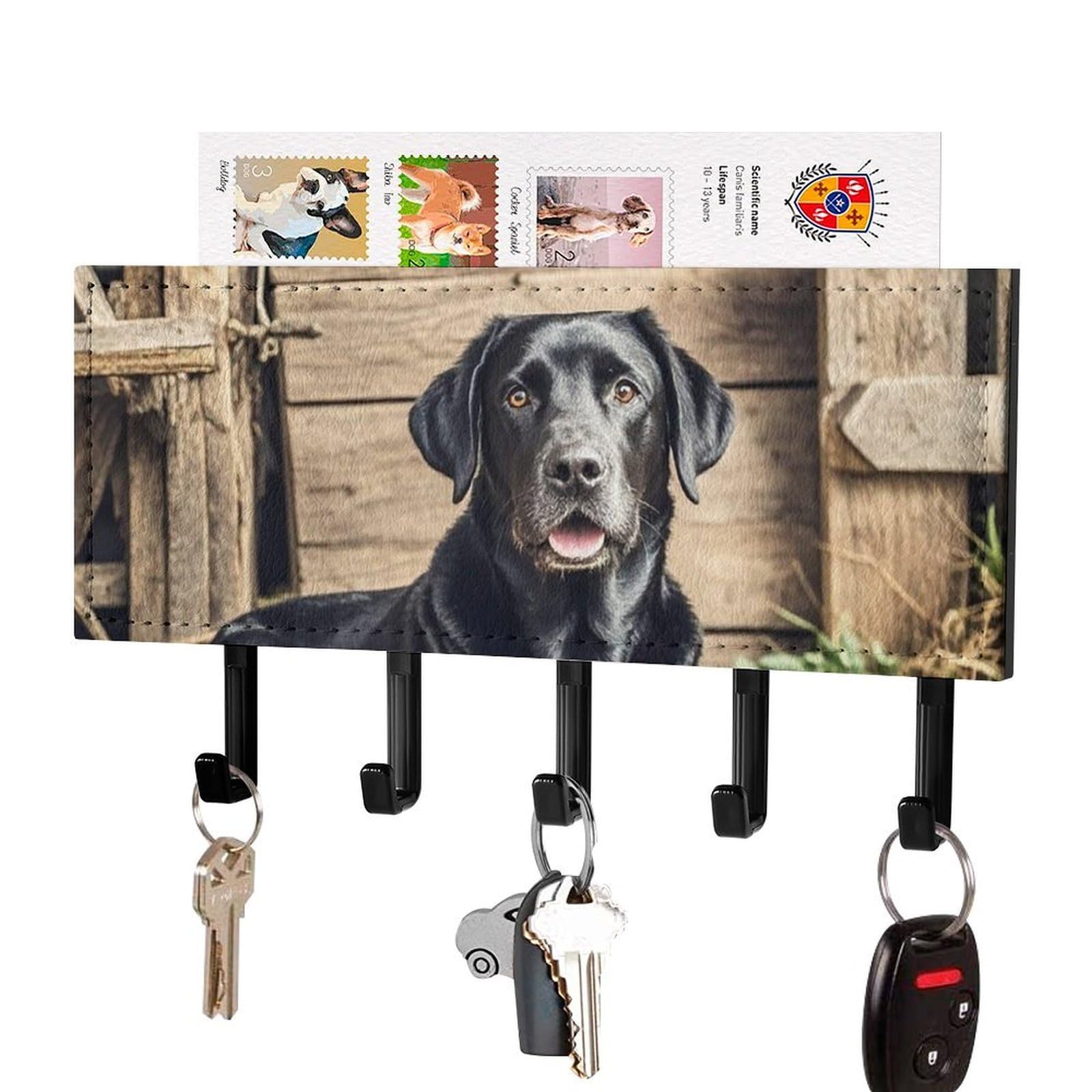 FekiLoot Black Labrador Key Holder Wall Mount Key Hanger with 5 Hooks Decorative Key Rack Hanging Key Hooks with Mail Organizer Key Holder for Wall Living Room Kitchen Bathroom Hallway Black