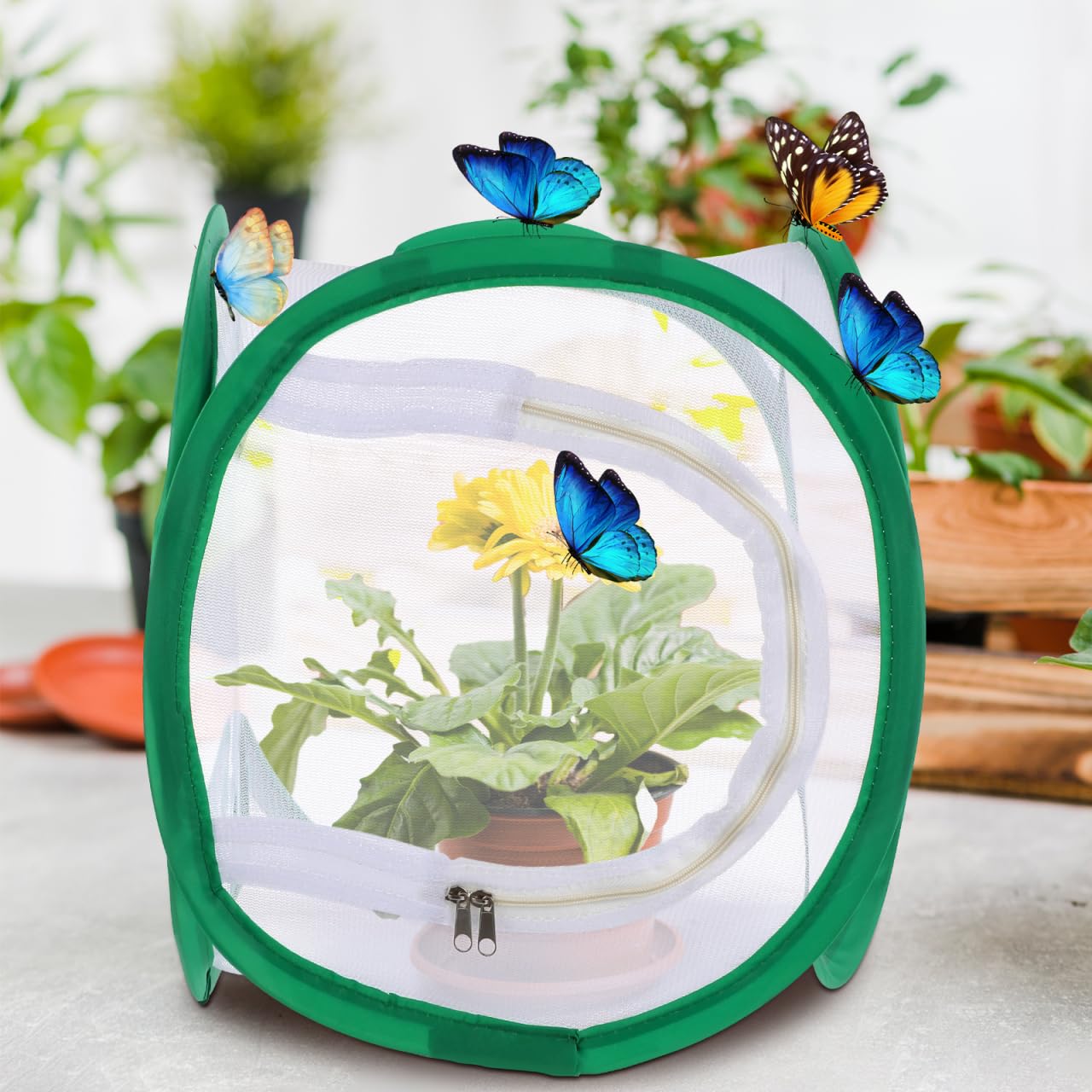 POPETPOP Foldable Butterfly Cage 11.81In Mesh Insect Enclosure with Handle for Stick Insect Breeding Caterpillar Observation & Plant Protection Indoor Outdoor - Image 2