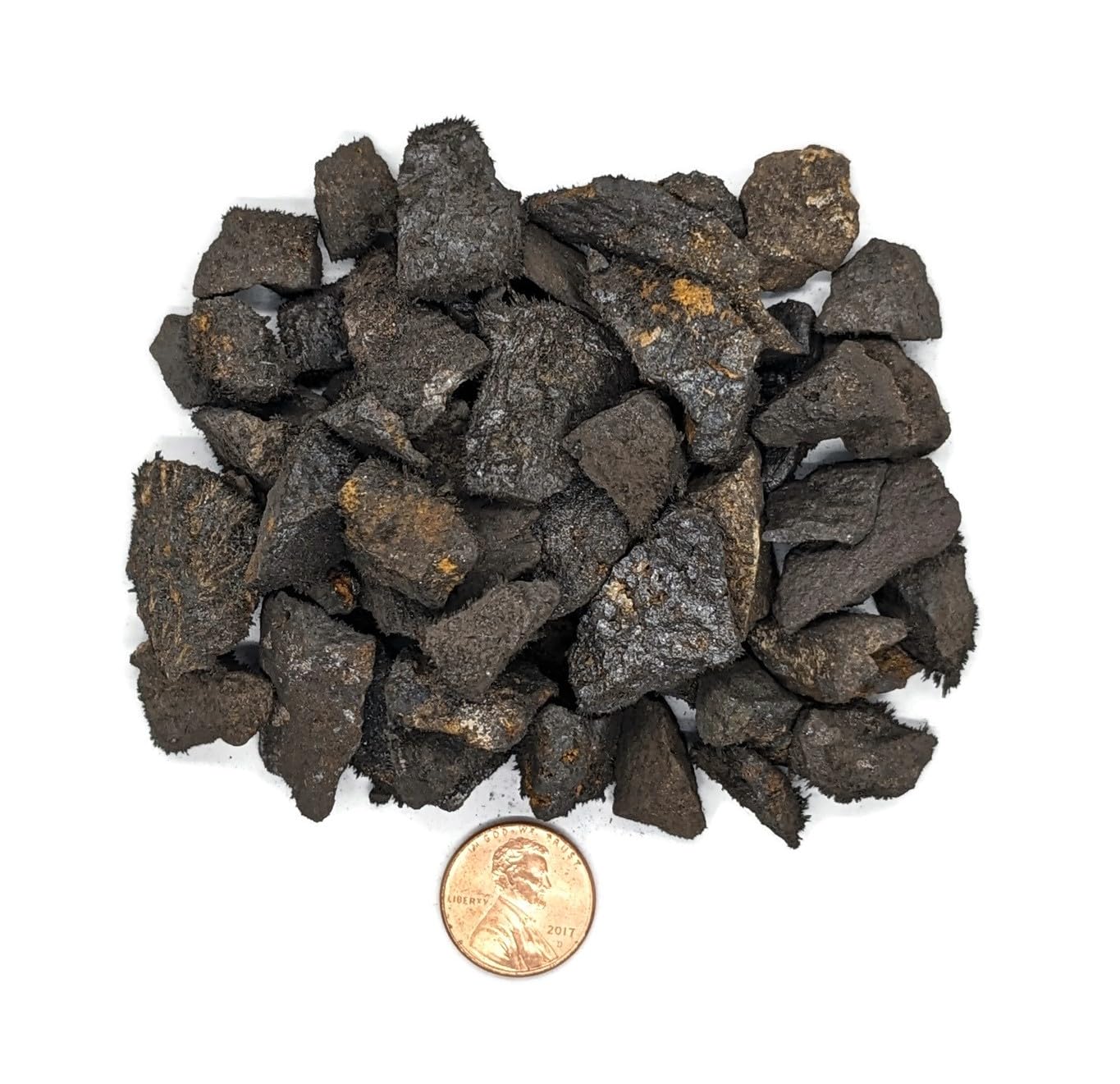 Naturally Magnetic Lodestone Chips. 1/2 Pound Bag. Small Lodestone Chips Ranging in Size from 1/4 to 3/4 Inch. Perfect for Classrooms, Education, Energy Stones or Exploring Magnetism.