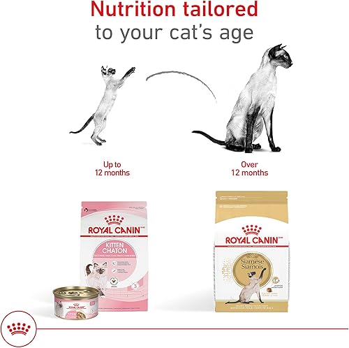 Miniatura 5 de Royal Canin Siamese raza adulto seco alimento para gatos, 6 lb.