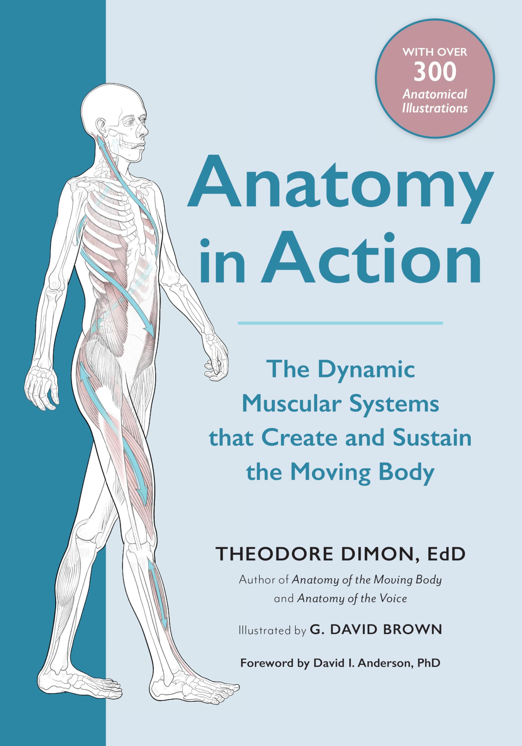 North Atlantic Books | Buch | Anatomy in Action: The Dynamic Muscular Systems that Create and Sustain the Moving Body
