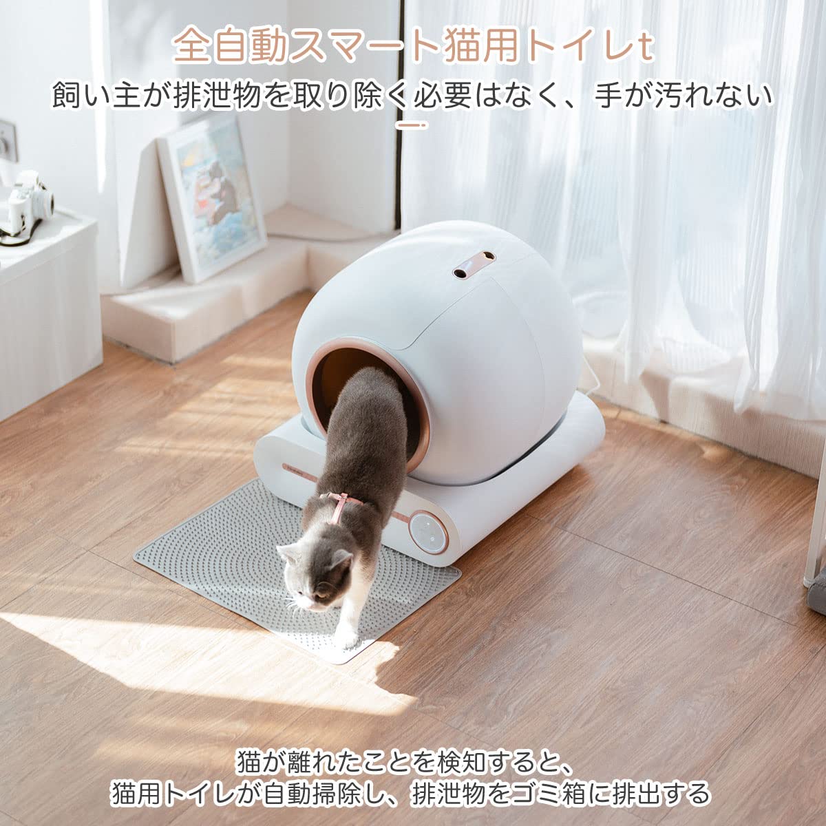 Amazon | Pandaloli トイレ 猫 自動 大型：スマホ管理 センサー付き 