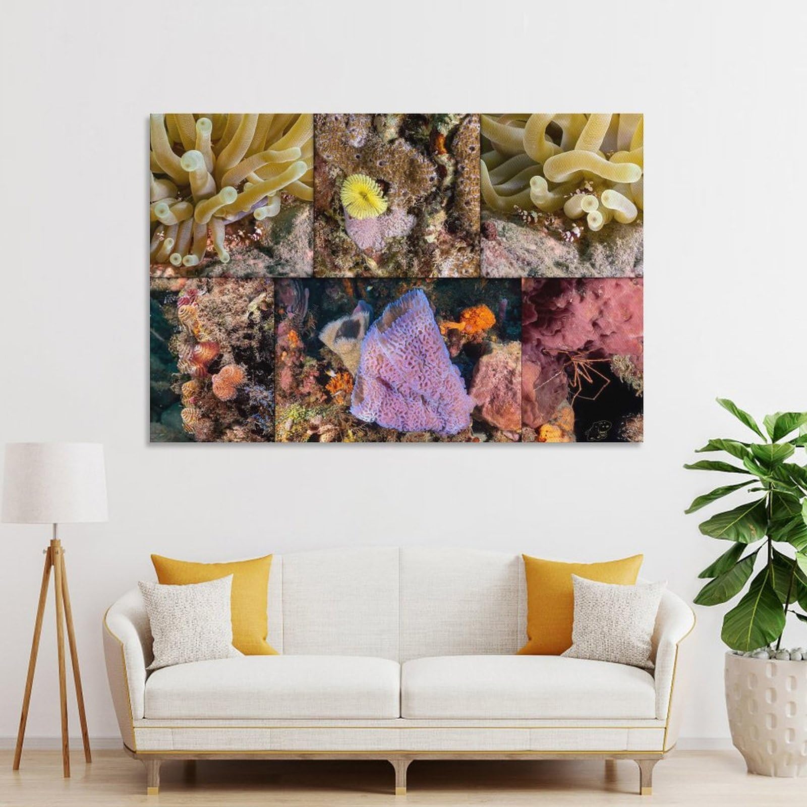 Junmoney Underwater Coral Reef Collage Canvas Wall Art, 20x30inch(50x75cm), for Wall Displays, Bedrooms Or Room Updates, Ideal for Building A Coordinated Art Wall