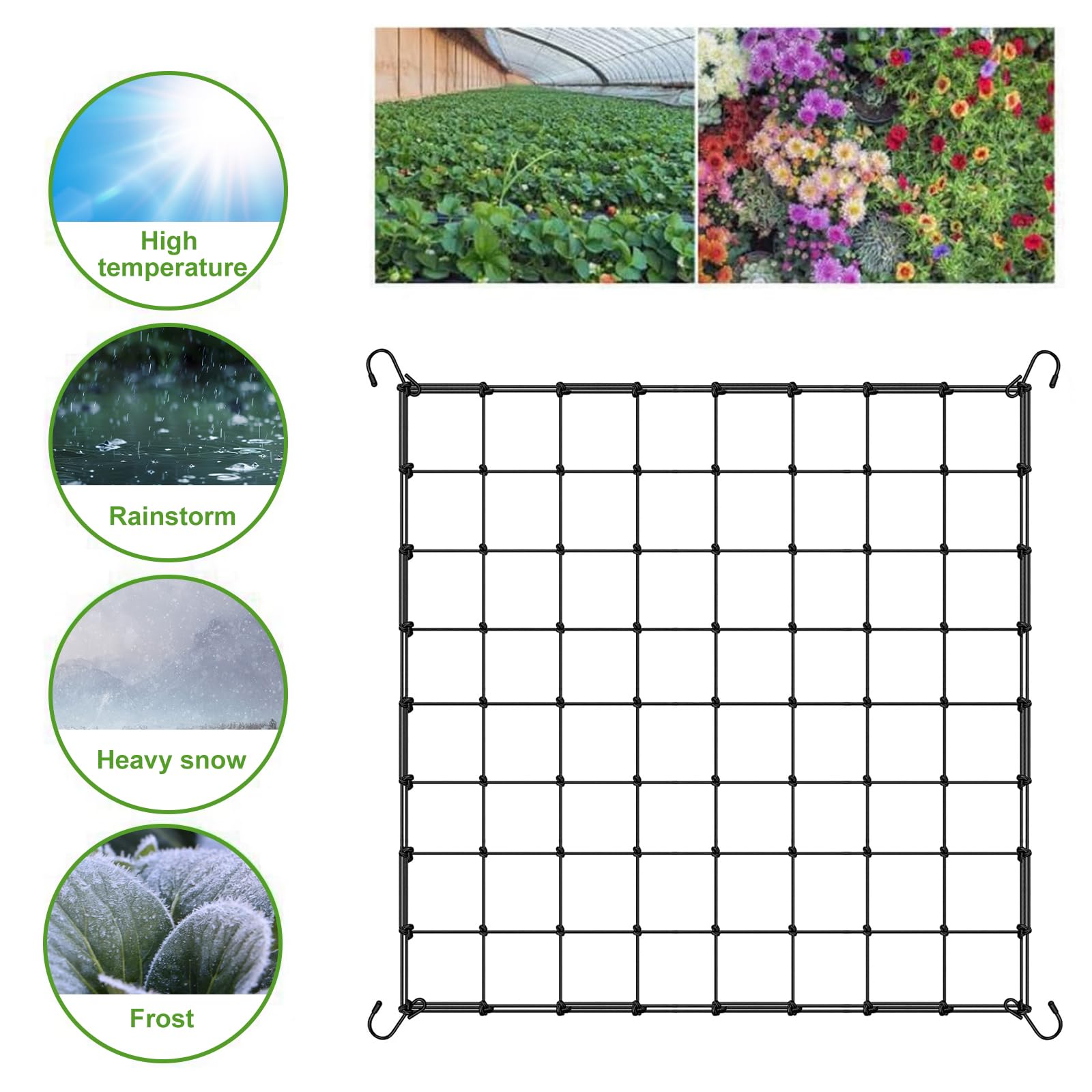 Filet En Treillis Pour Plantes Grimpantes - Treillis De Jardin