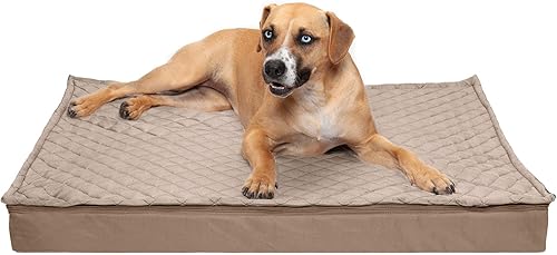 Miniatura 62 de Furhaven Pet – Colchón ortopédico de espuma tradicional para perros y gatos, varios estilos, tamaños y colores