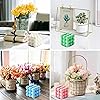 Product Photo 5